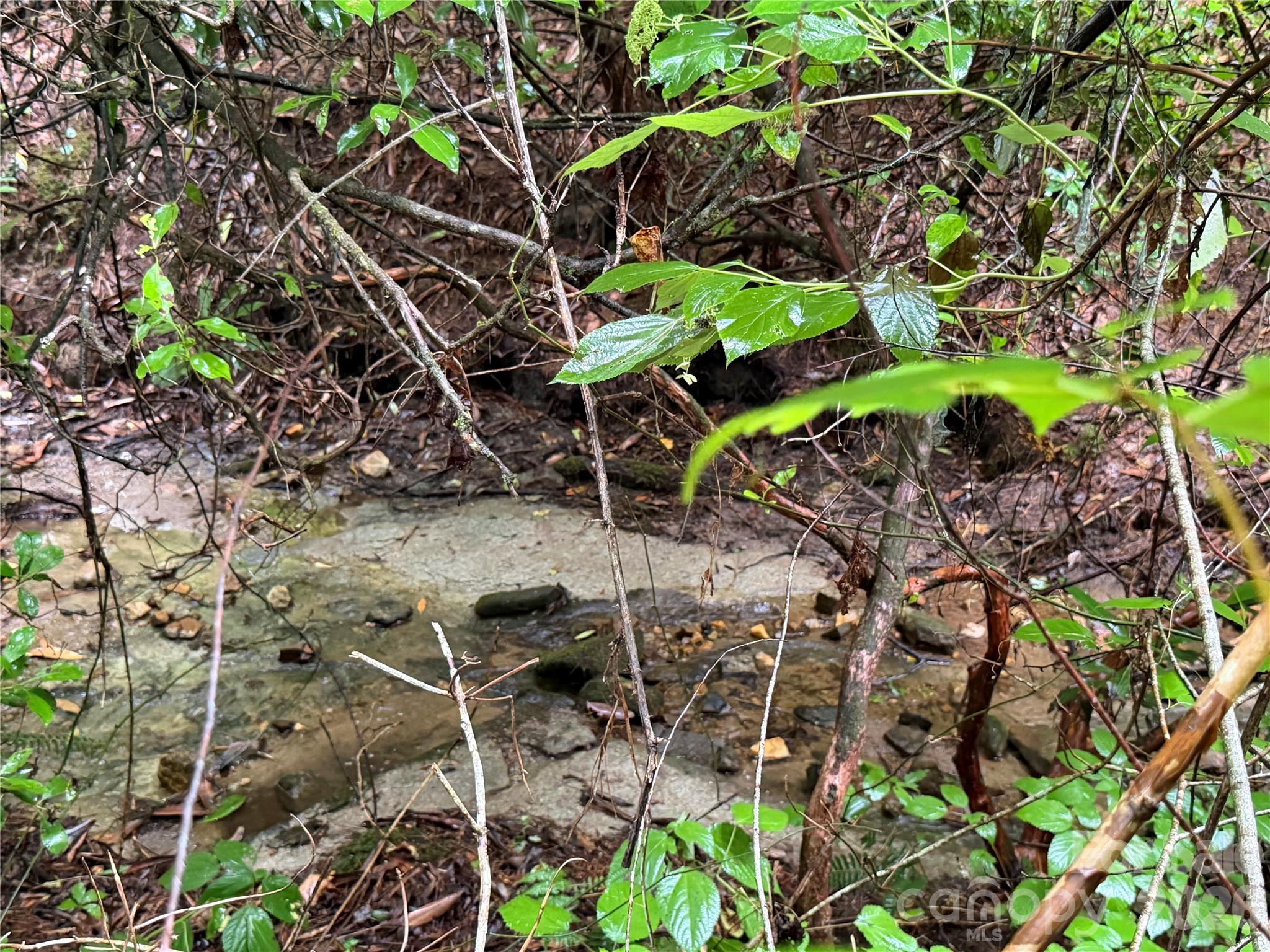 Off Donald Mccall Road Property Photo 32
