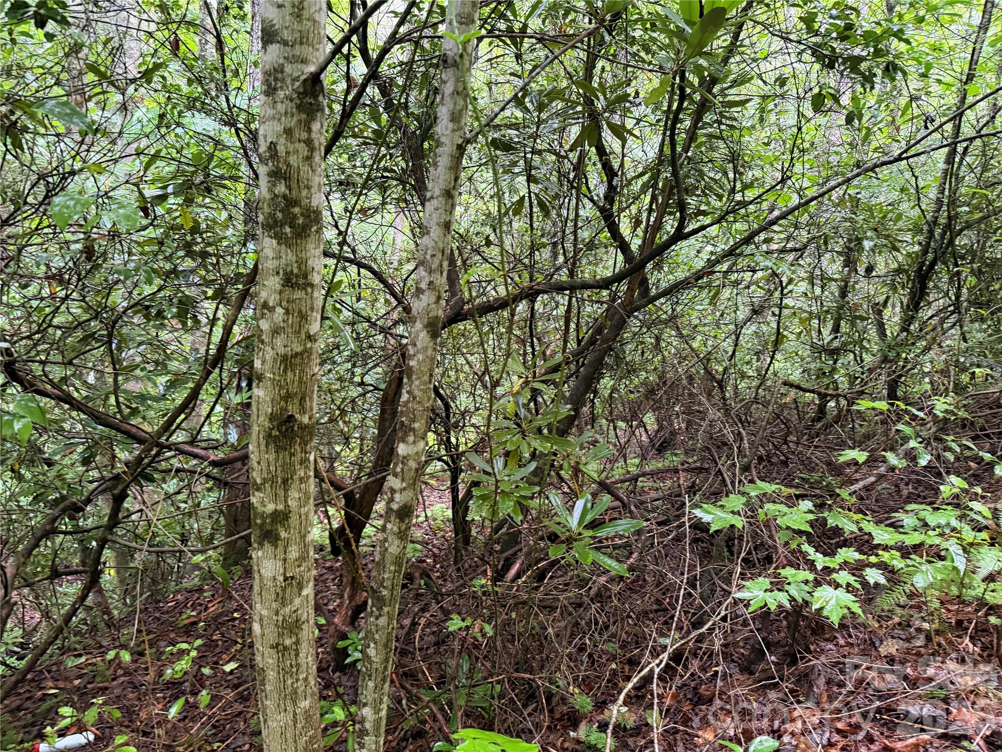 Off Donald Mccall Road Property Photo 33