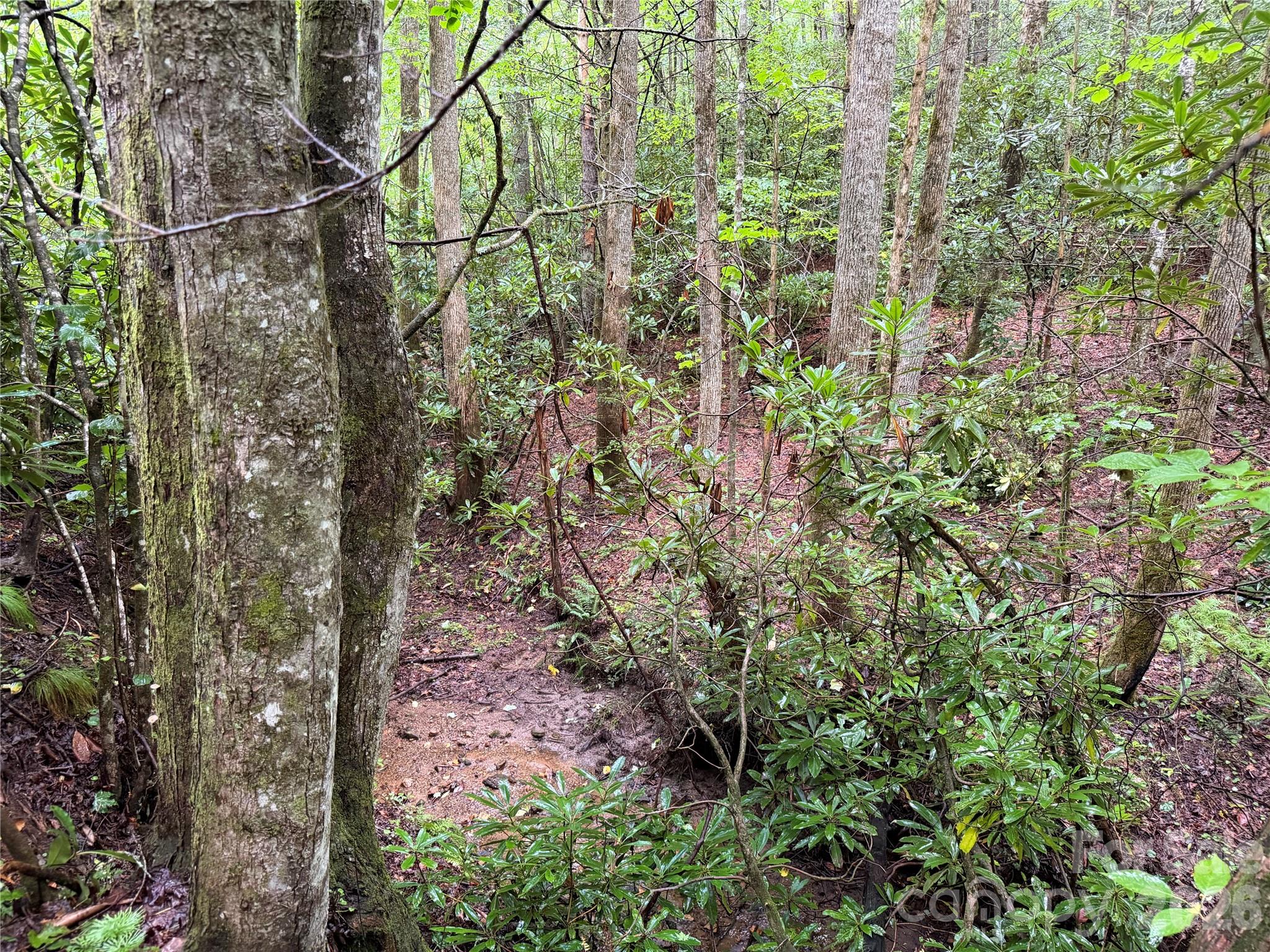 Off Donald Mccall Road Property Photo 34