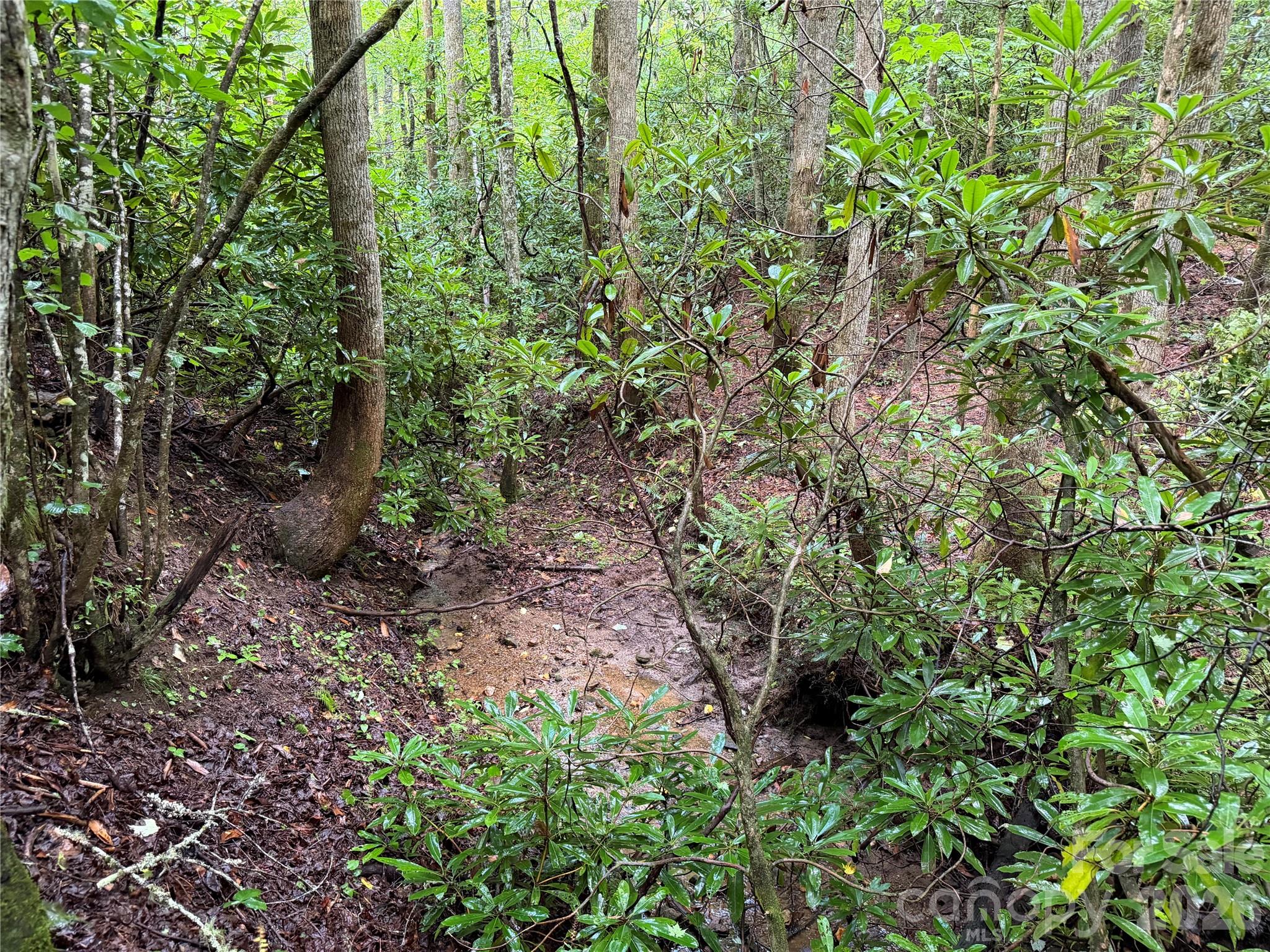 Off Donald Mccall Road Property Photo 35