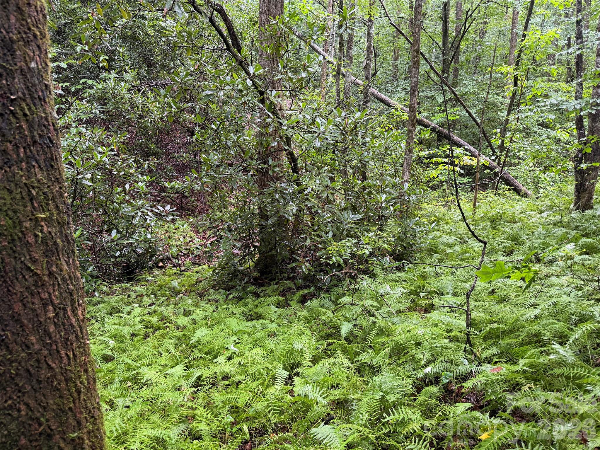 Off Donald Mccall Road Property Photo 36