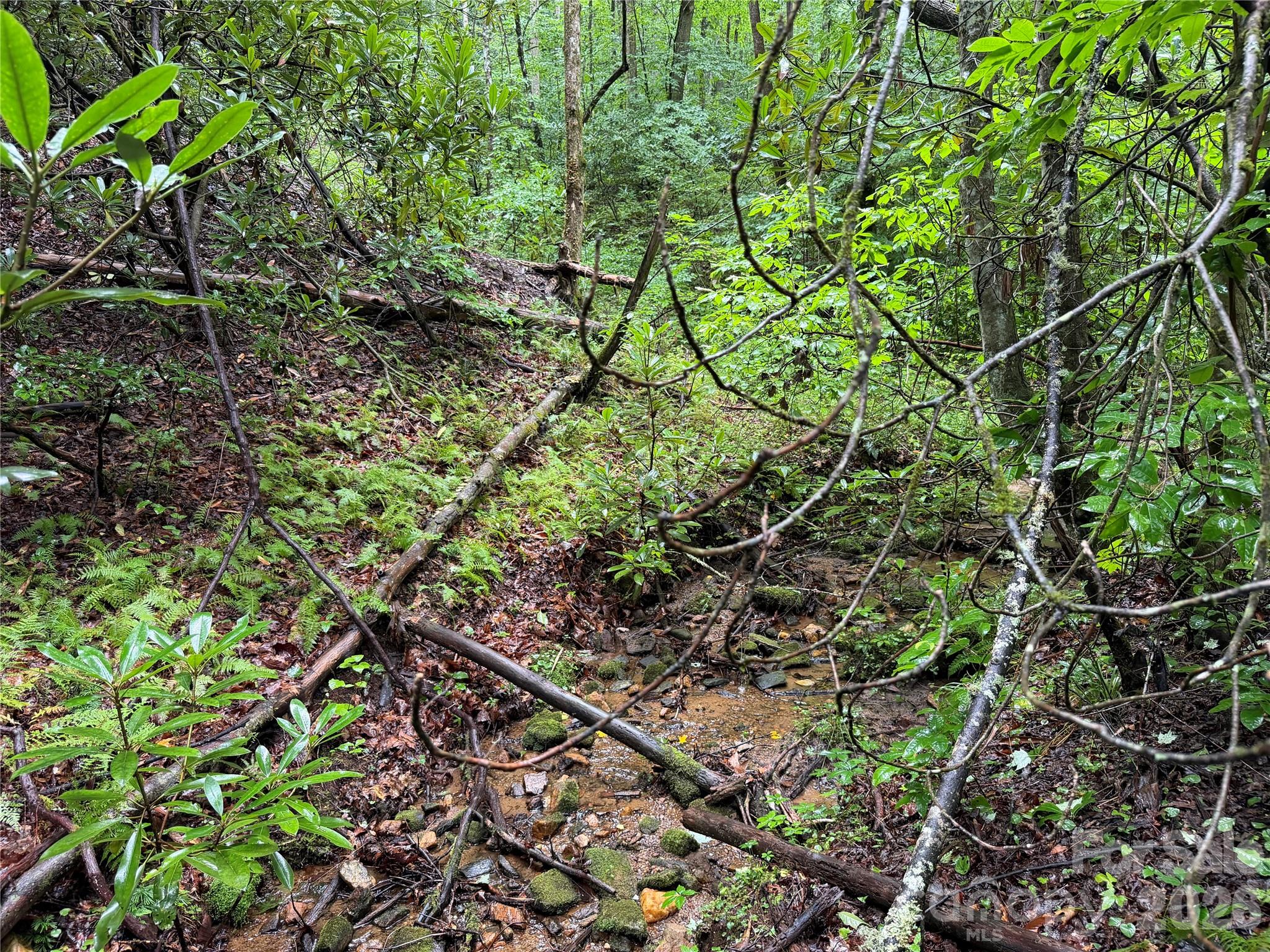 Off Donald Mccall Road Property Photo 37