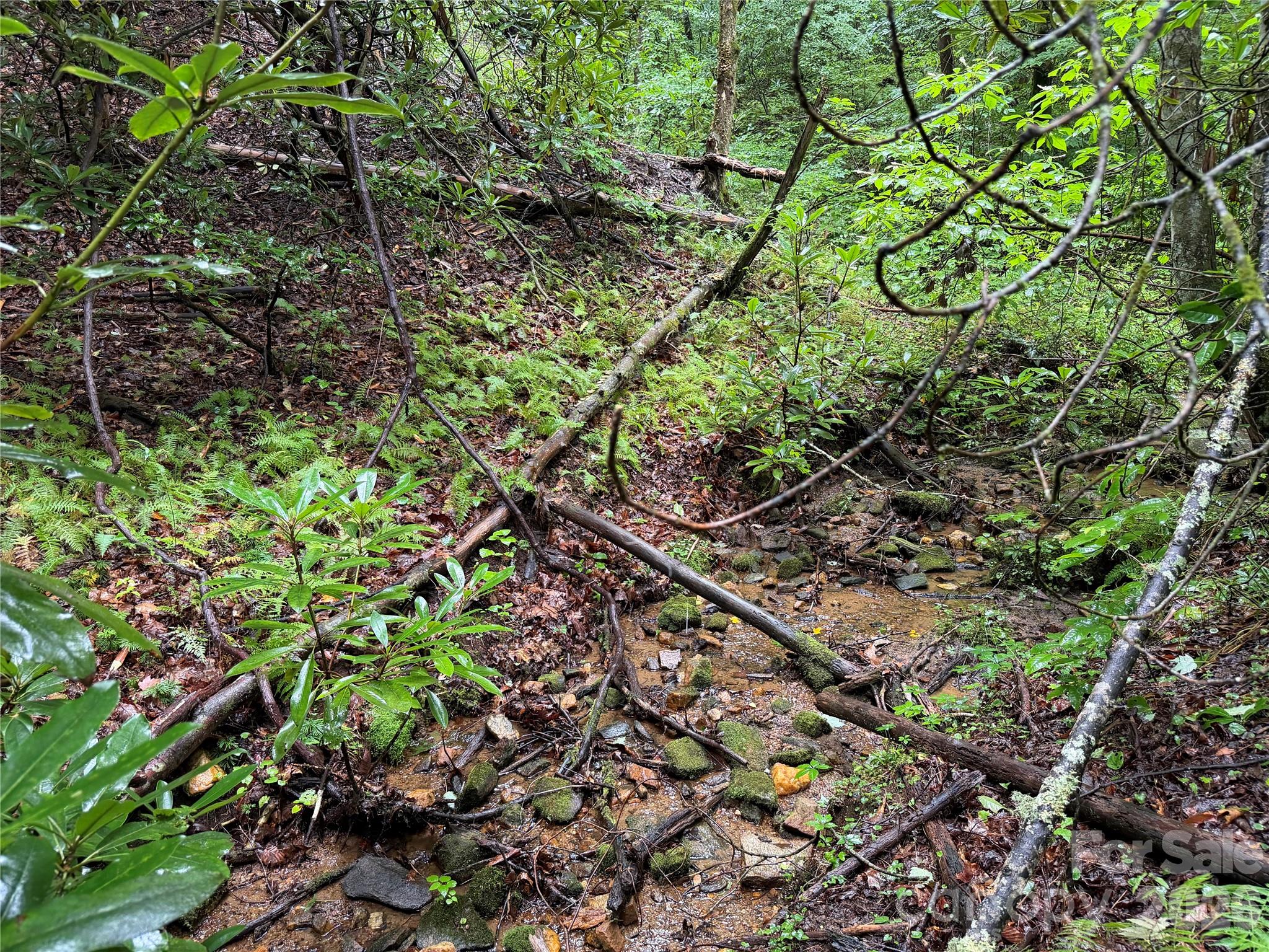 Off Donald Mccall Road Property Photo 38