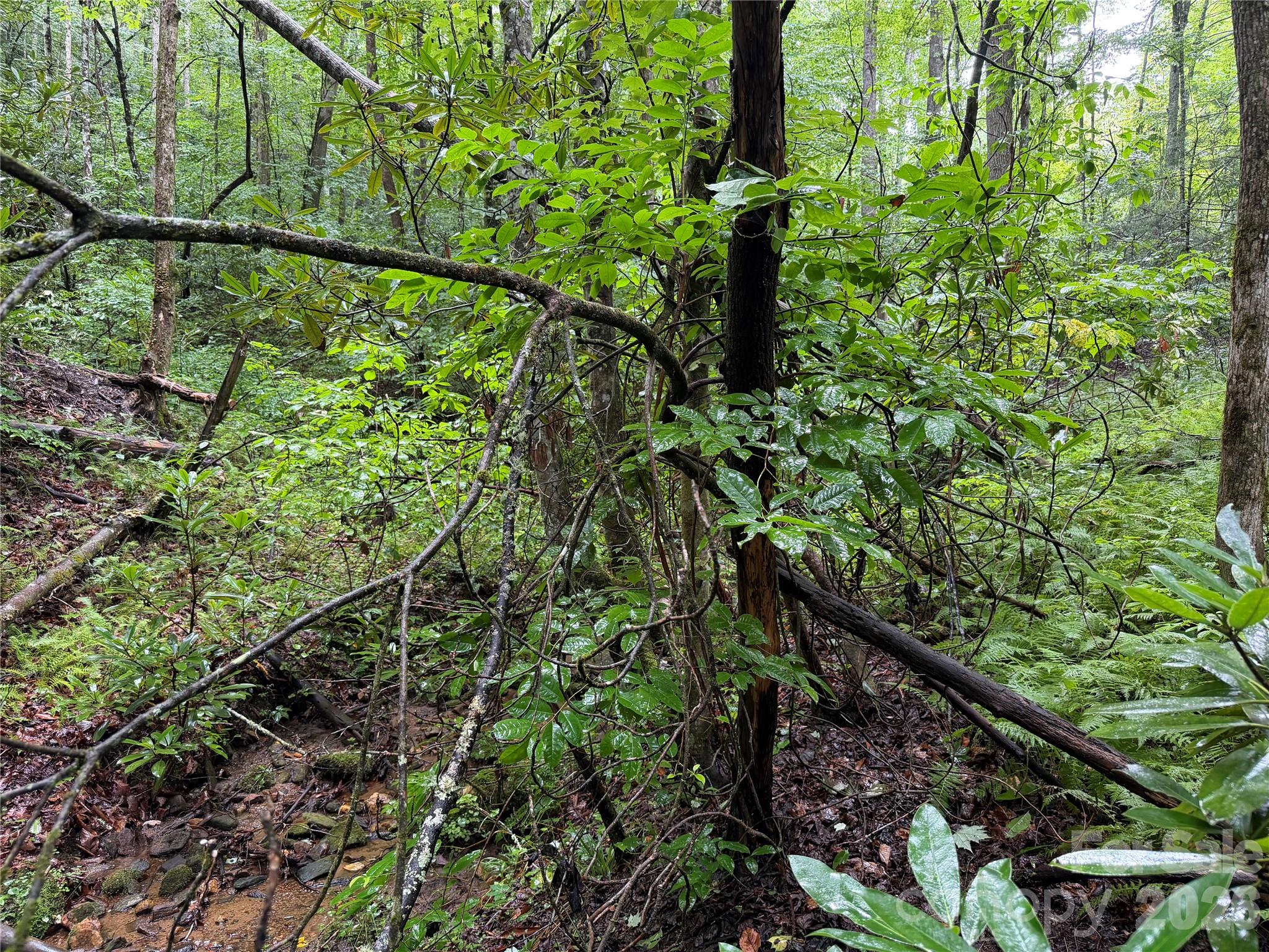 Off Donald Mccall Road Property Photo 39