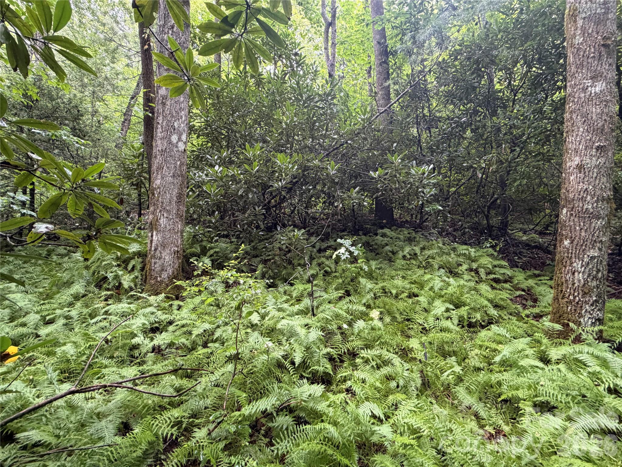 Off Donald Mccall Road Property Photo 40