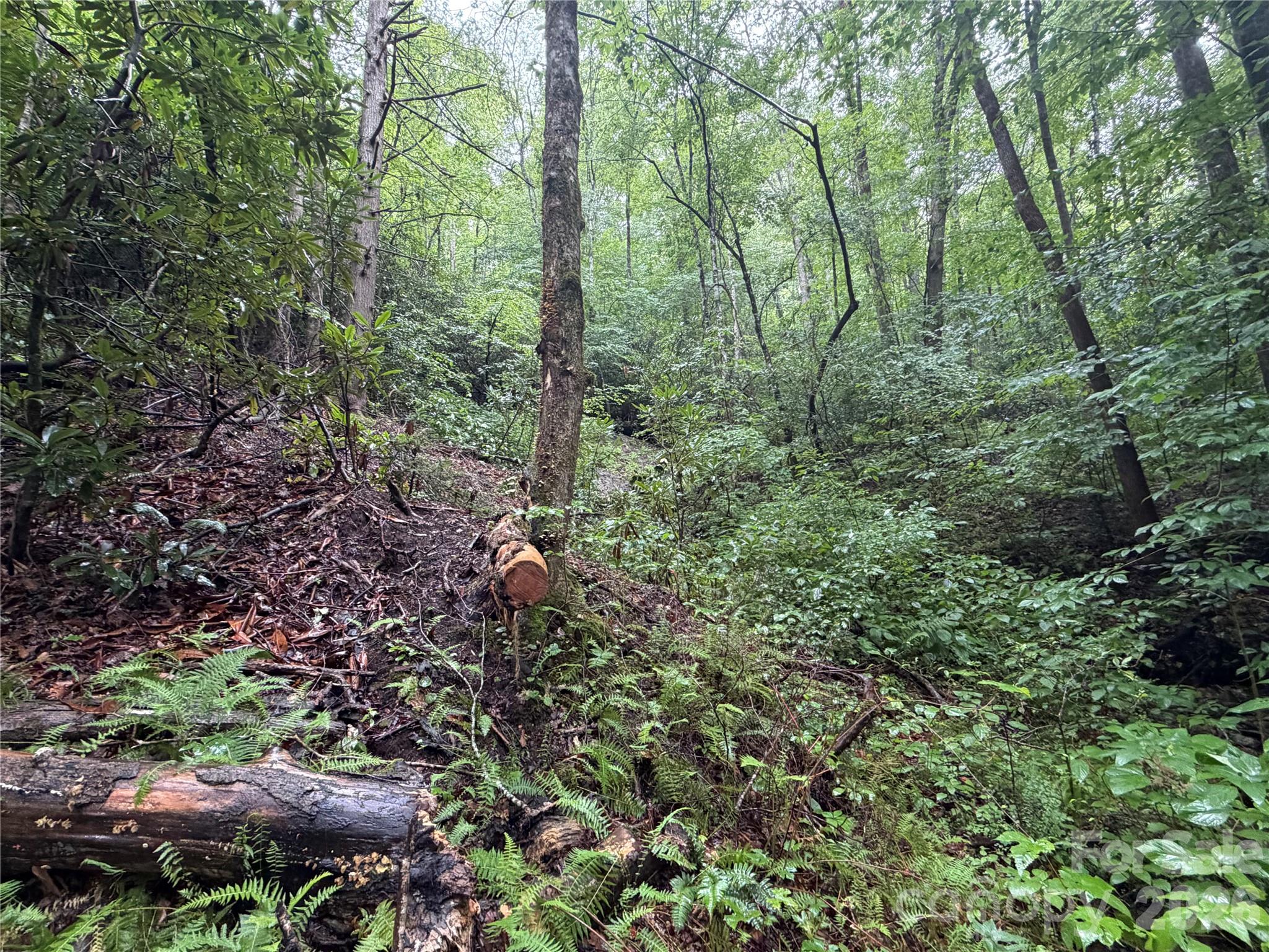 Off Donald Mccall Road Property Photo 41