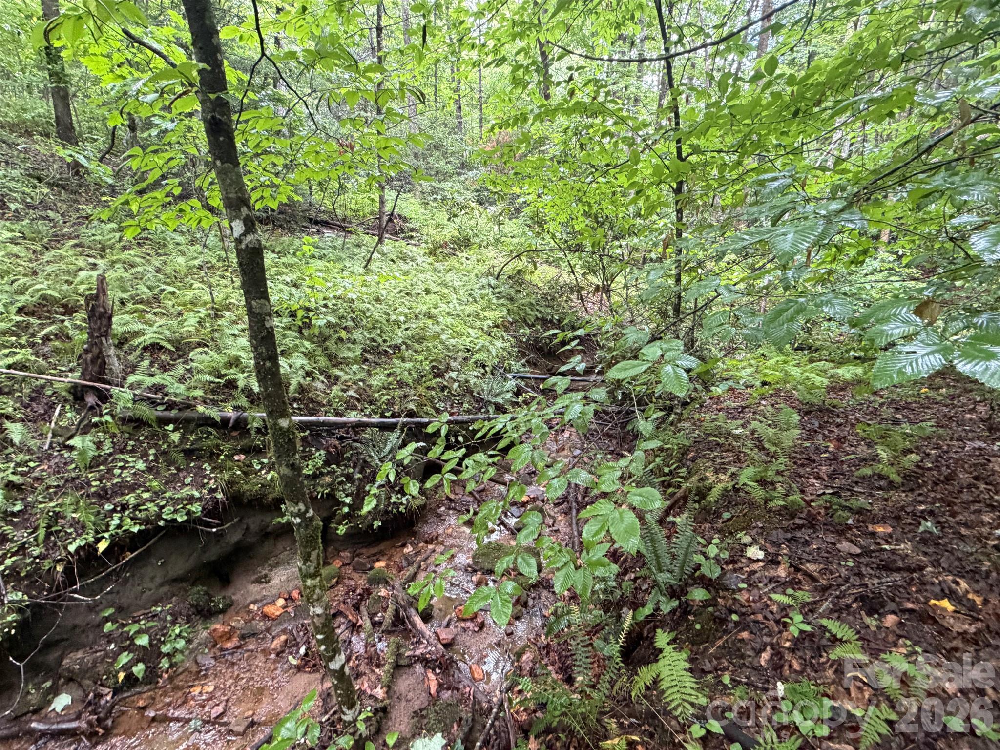 Off Donald Mccall Road Property Photo 42