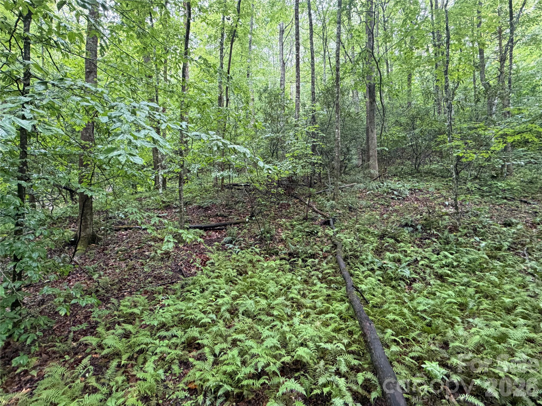 Off Donald Mccall Road Property Photo 43