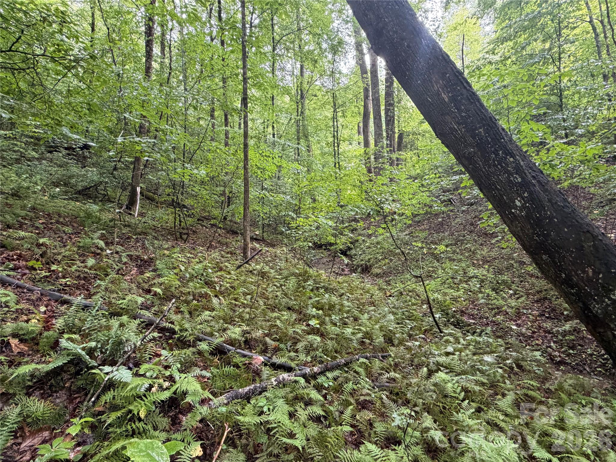 Off Donald Mccall Road Property Photo 44