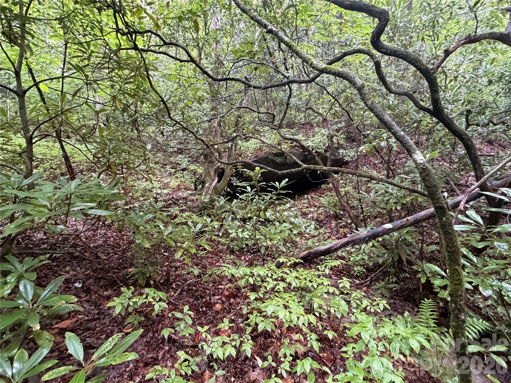 Off Donald Mccall Road Property Photo 45