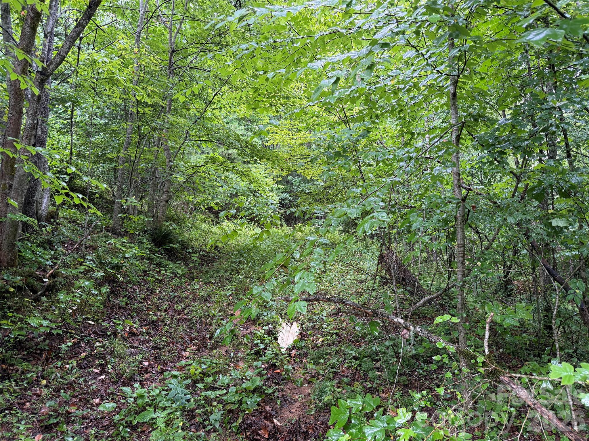 Off Donald Mccall Road Property Photo 46