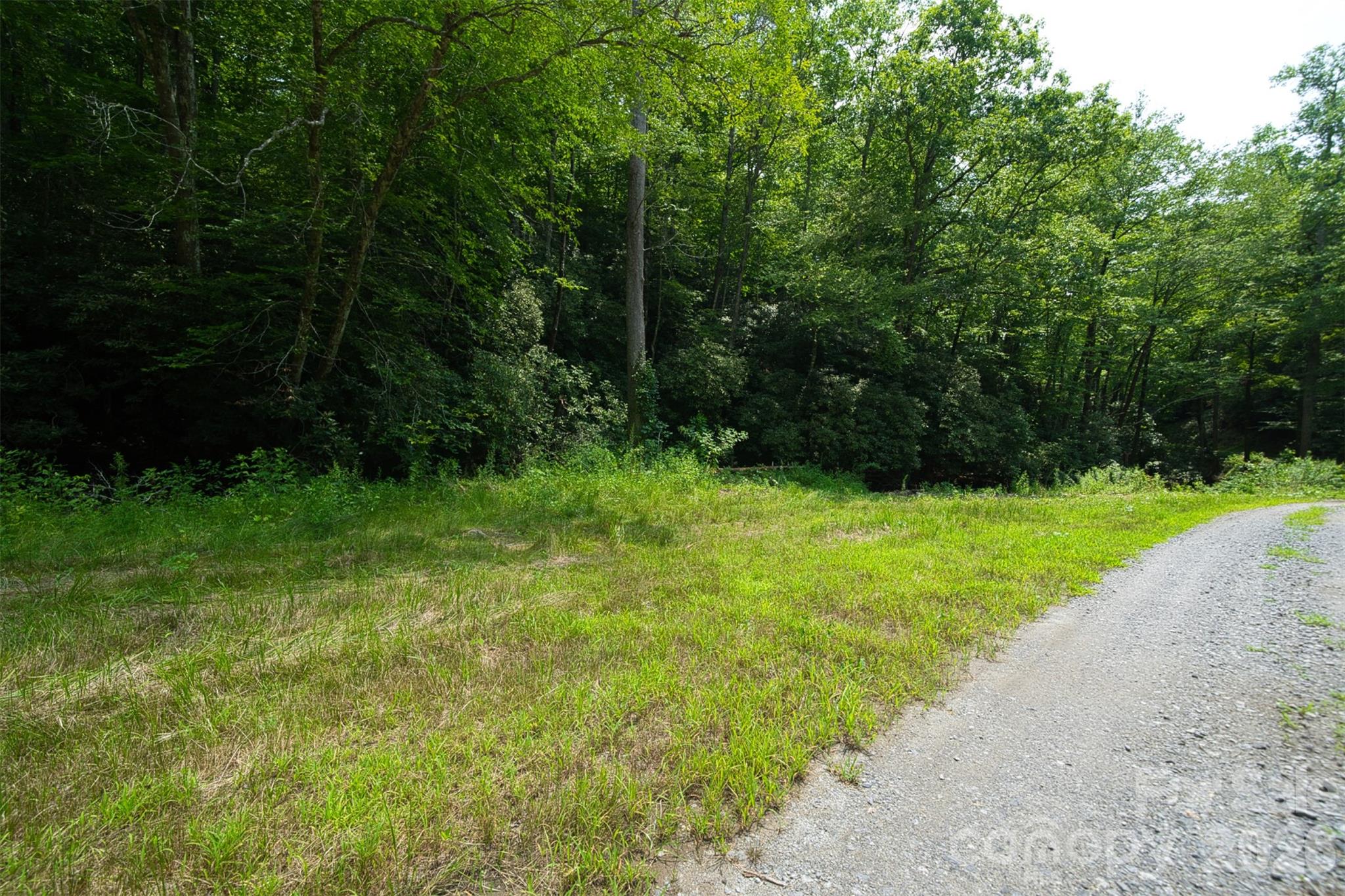 35 Lower Sand Branch Road Property Photo 5