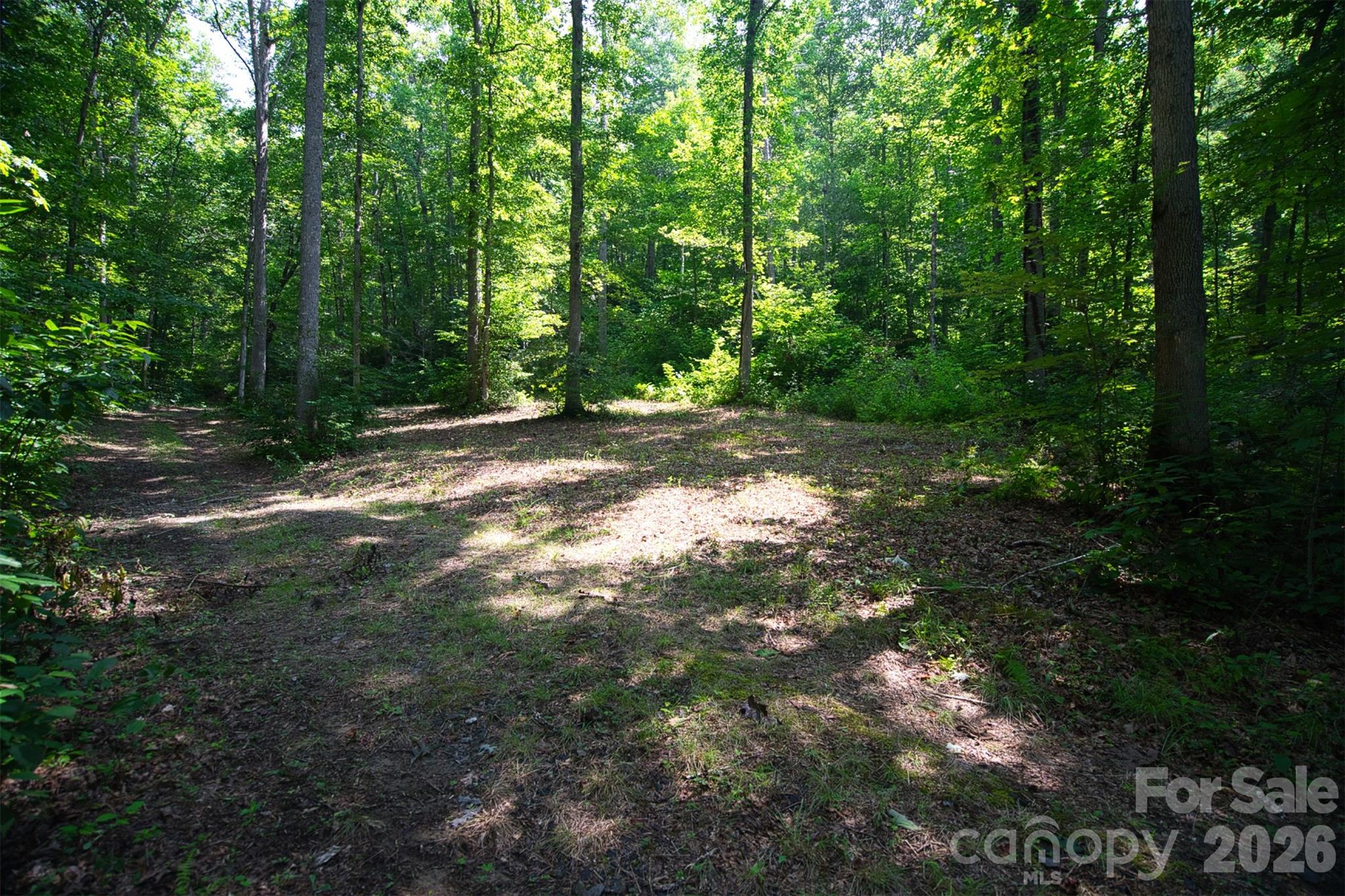 35 Lower Sand Branch Road Property Photo 8