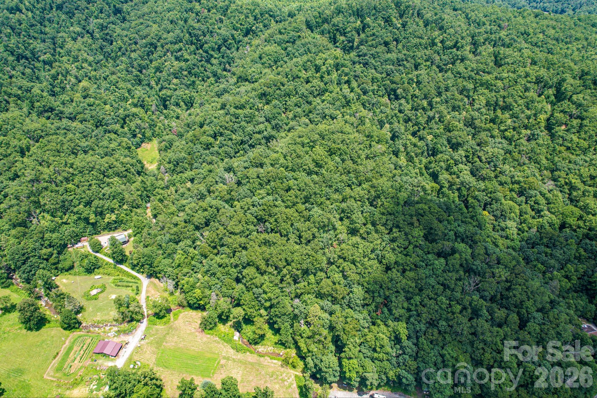 35 Lower Sand Branch Road Property Photo 9