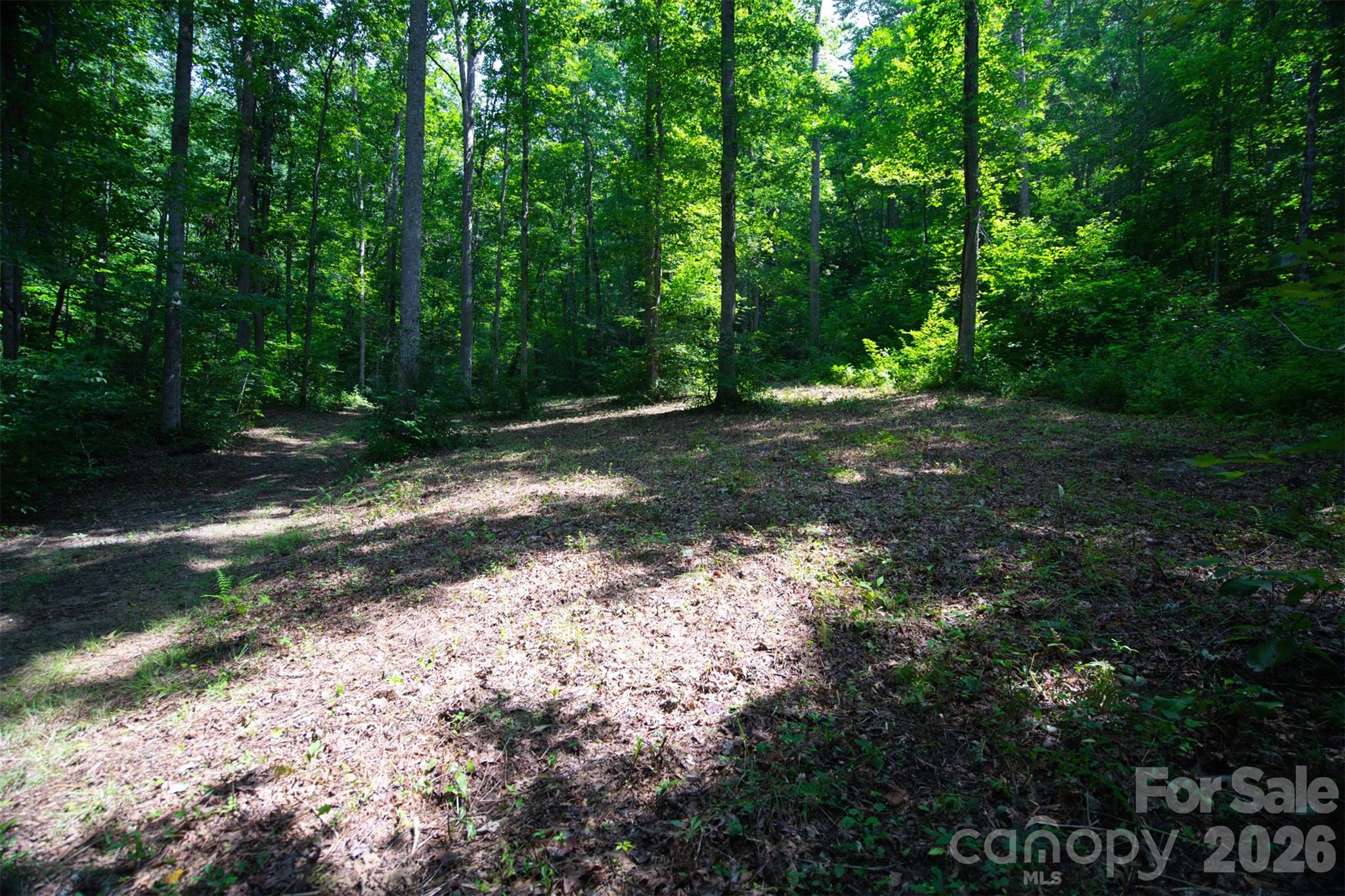35 Lower Sand Branch Road Property Photo 10