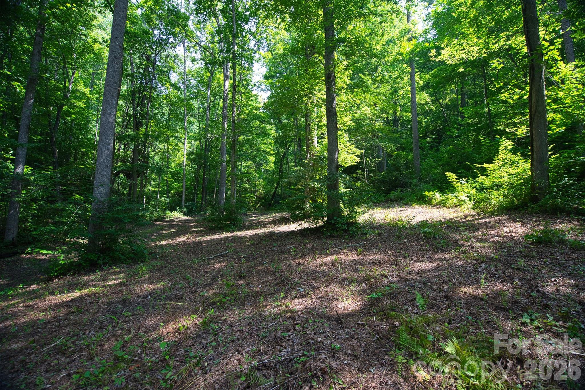 35 Lower Sand Branch Road Property Photo 12