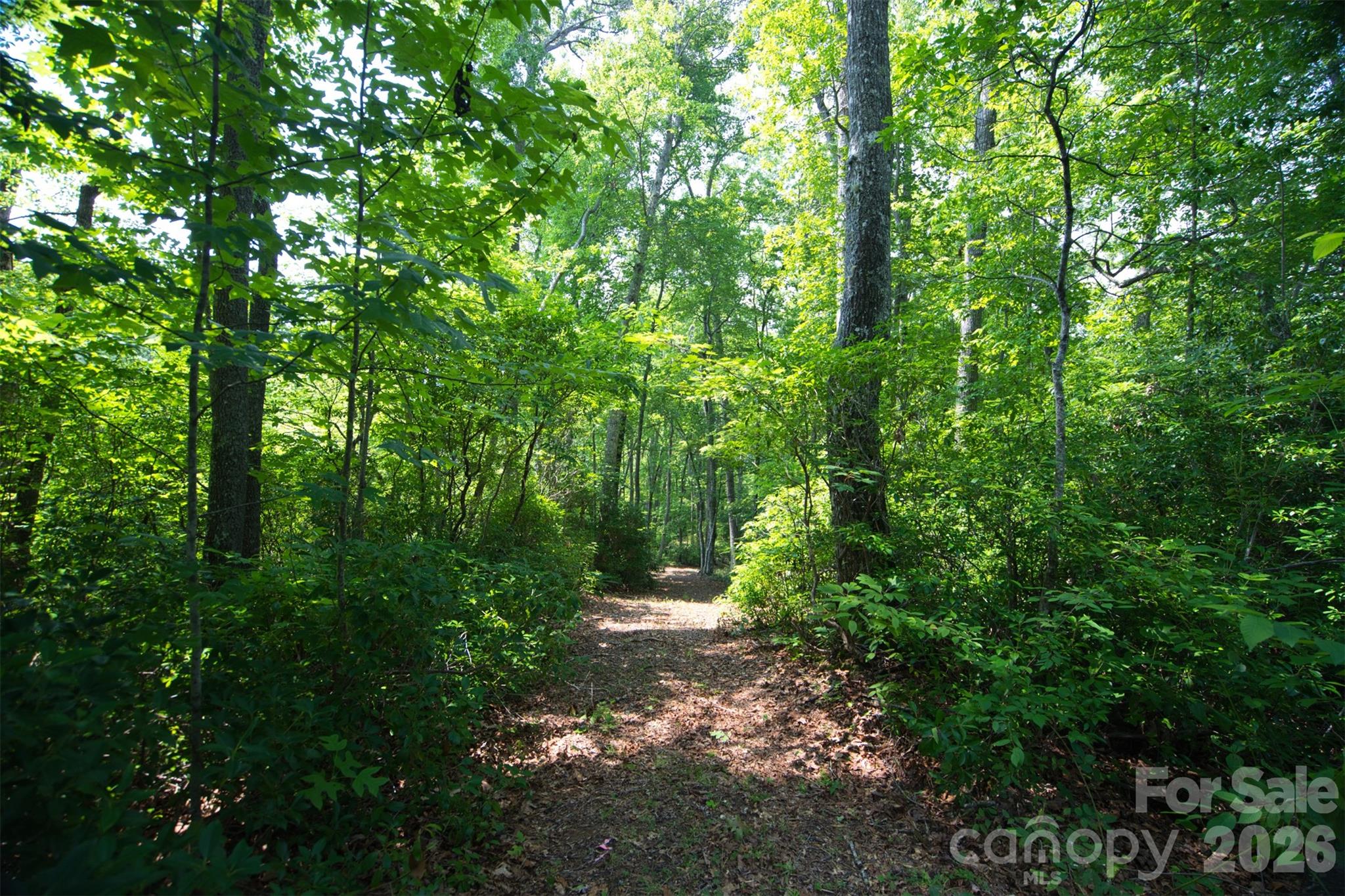 35 Lower Sand Branch Road Property Photo 14