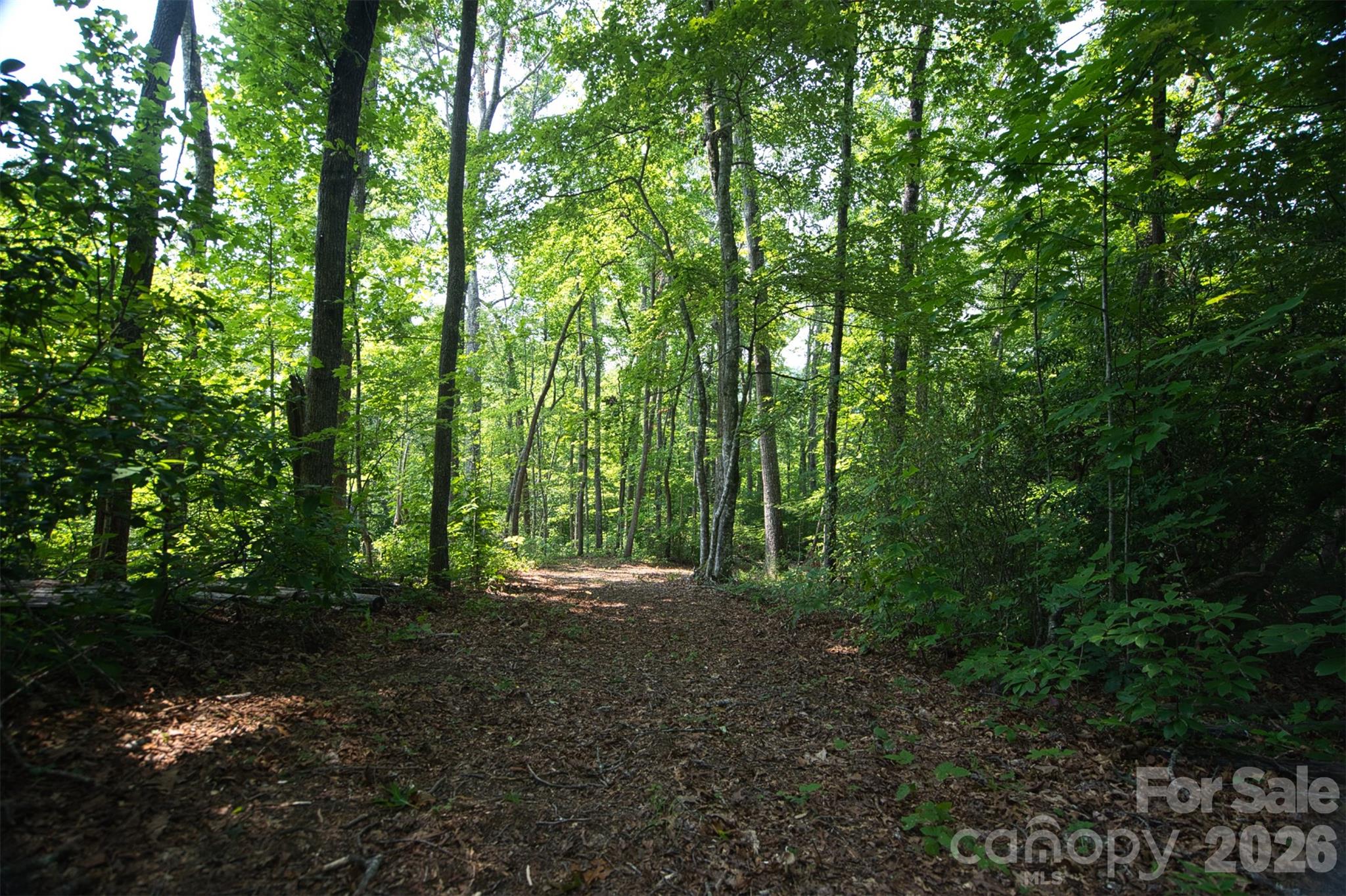 35 Lower Sand Branch Road Property Photo 16