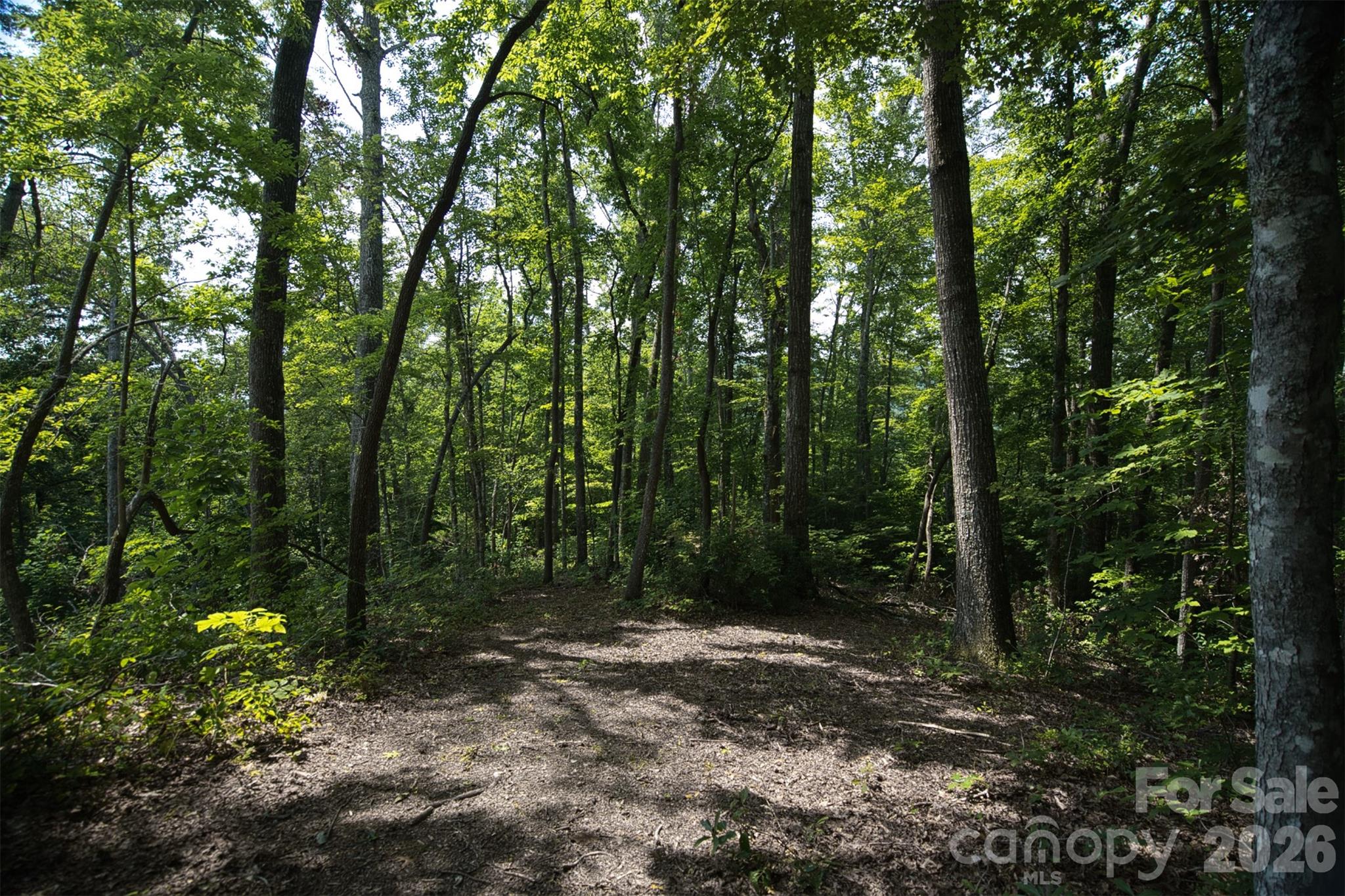 35 Lower Sand Branch Road Property Photo 18