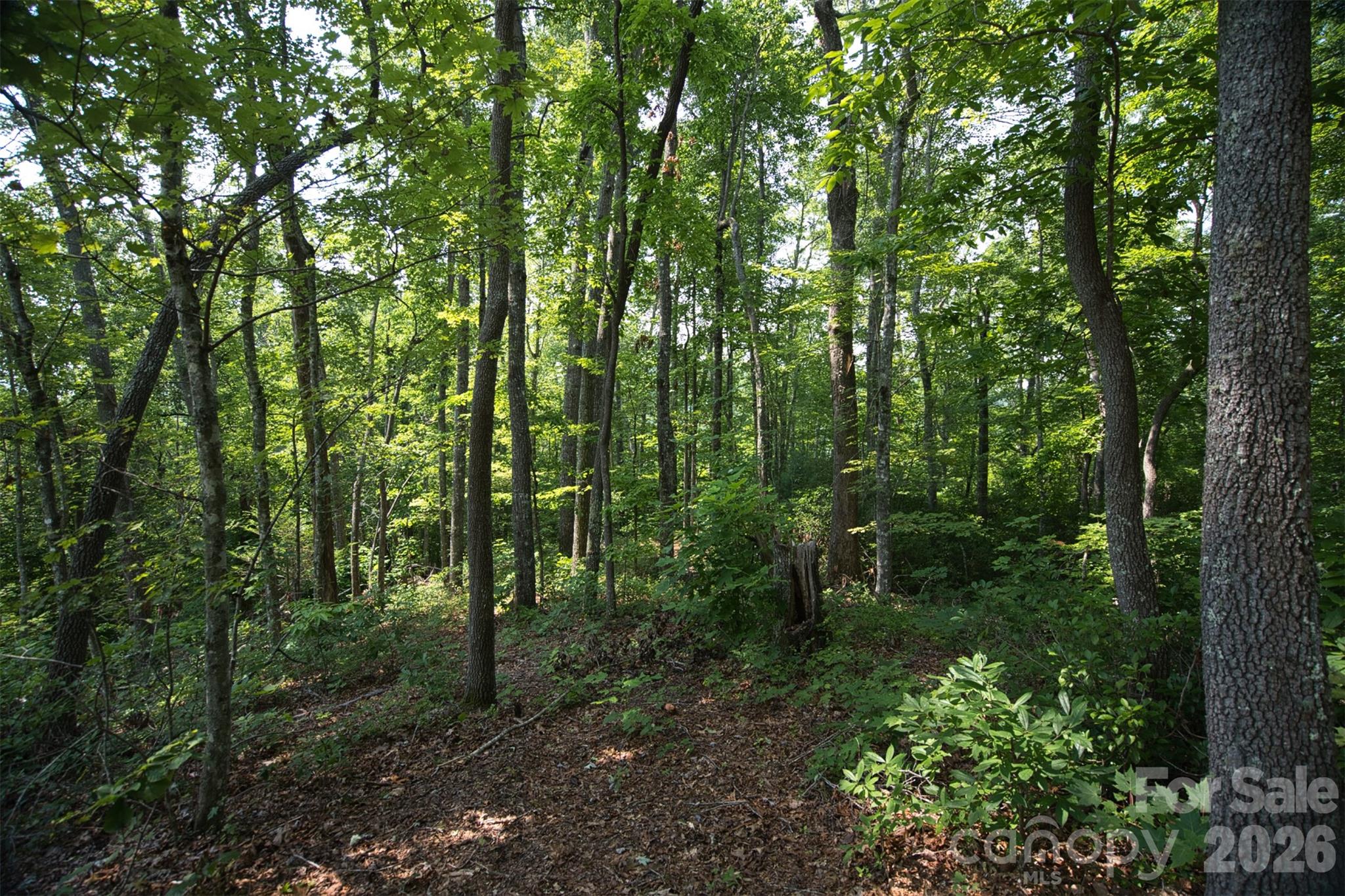 35 Lower Sand Branch Road Property Photo 20