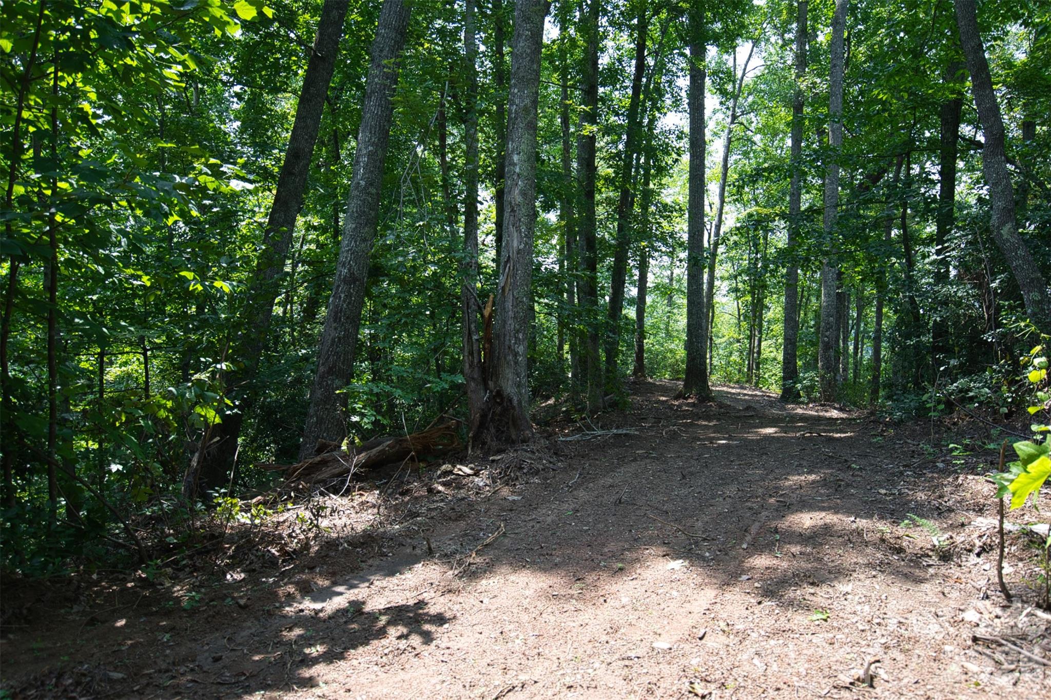 35 Lower Sand Branch Road Property Photo 22