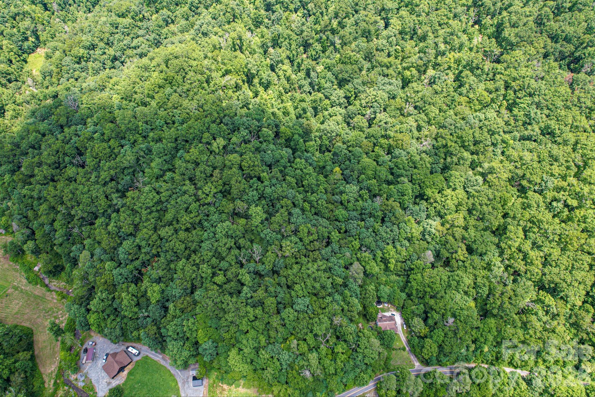35 Lower Sand Branch Road Property Photo 23