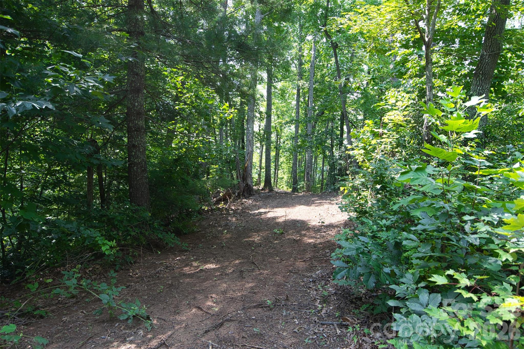 35 Lower Sand Branch Road Property Photo 24