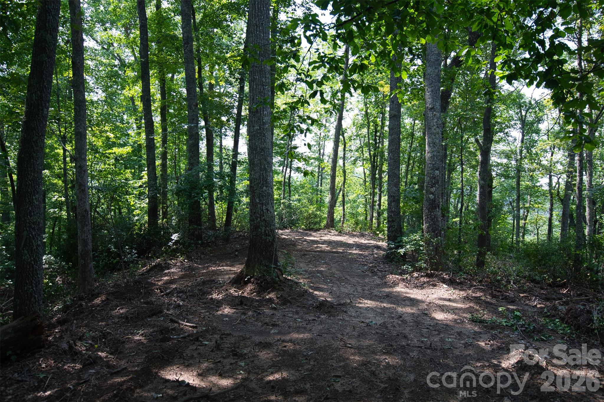 35 Lower Sand Branch Road Property Photo 26