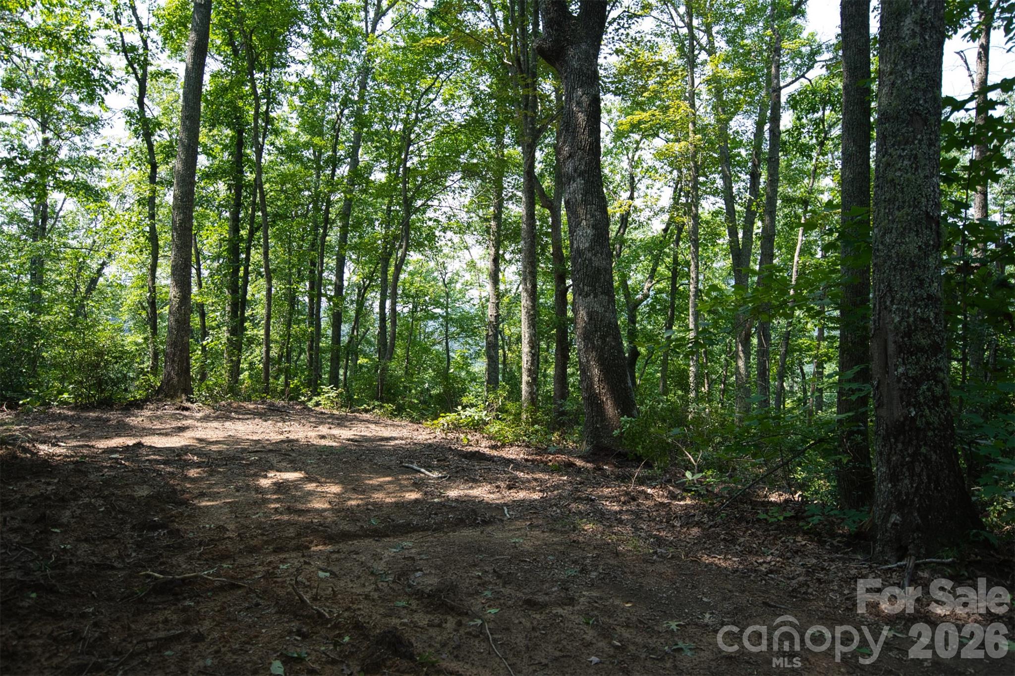 35 Lower Sand Branch Road Property Photo 28
