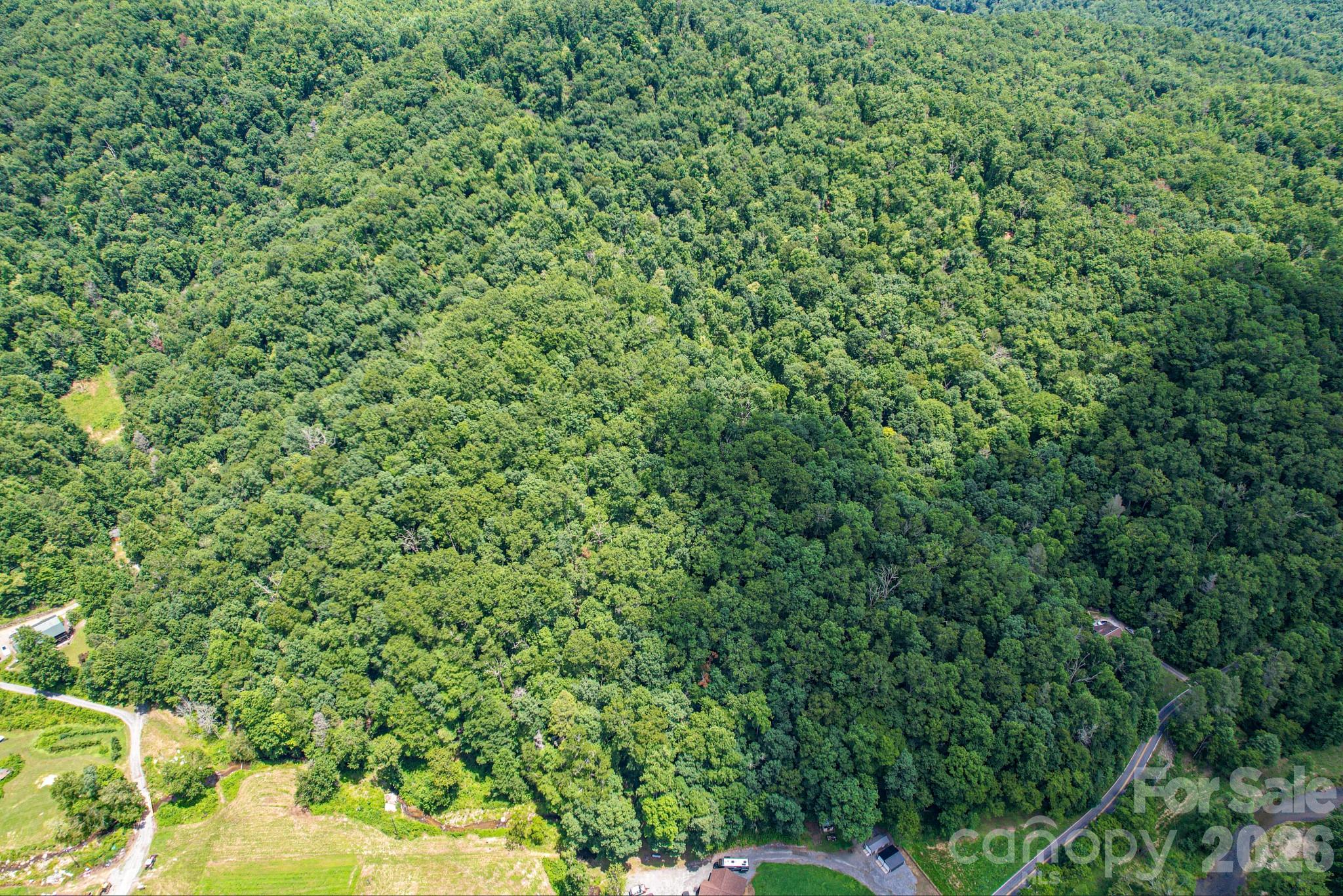 35 Lower Sand Branch Road Property Photo 30