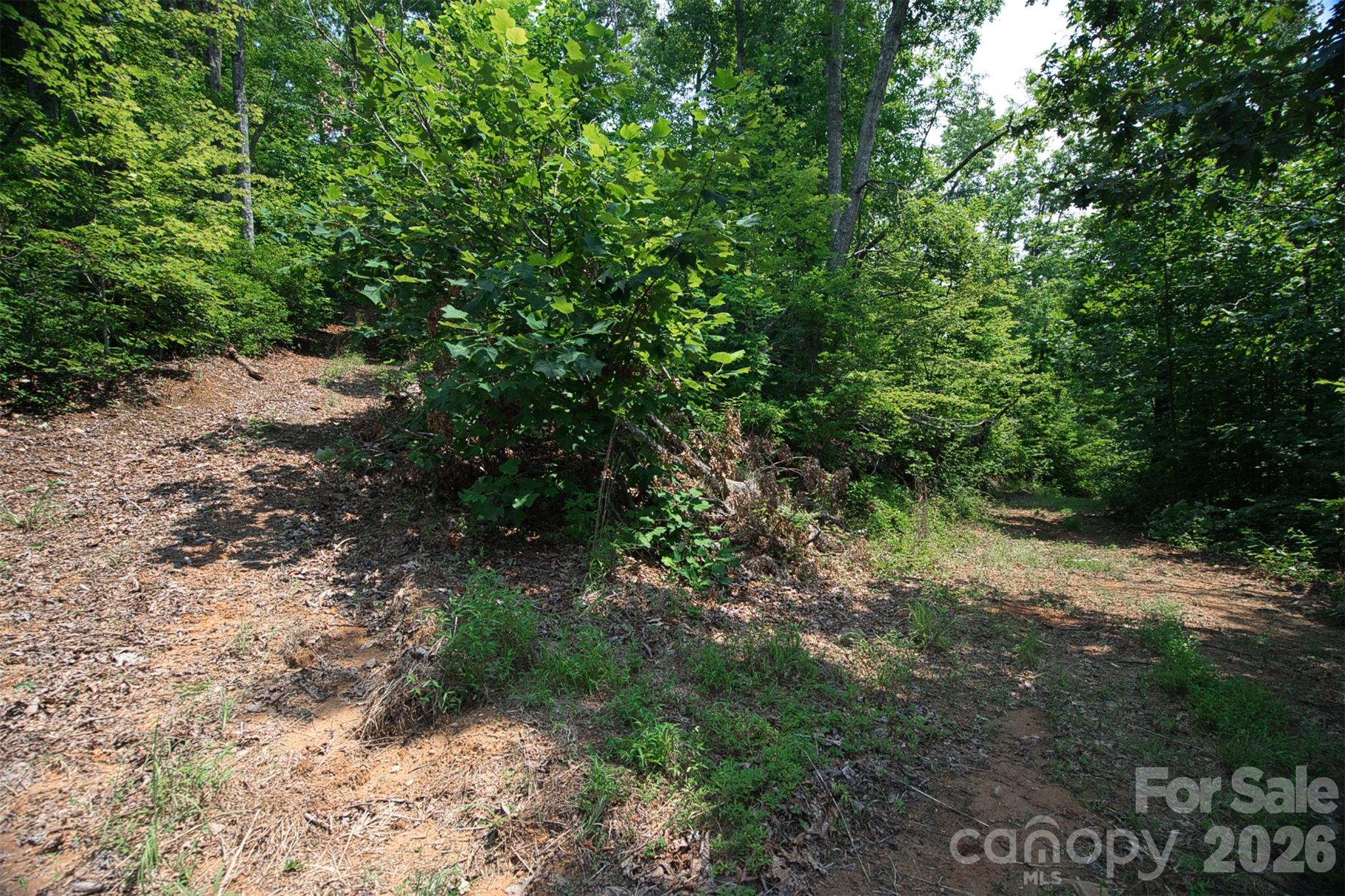 35 Lower Sand Branch Road Property Photo 31