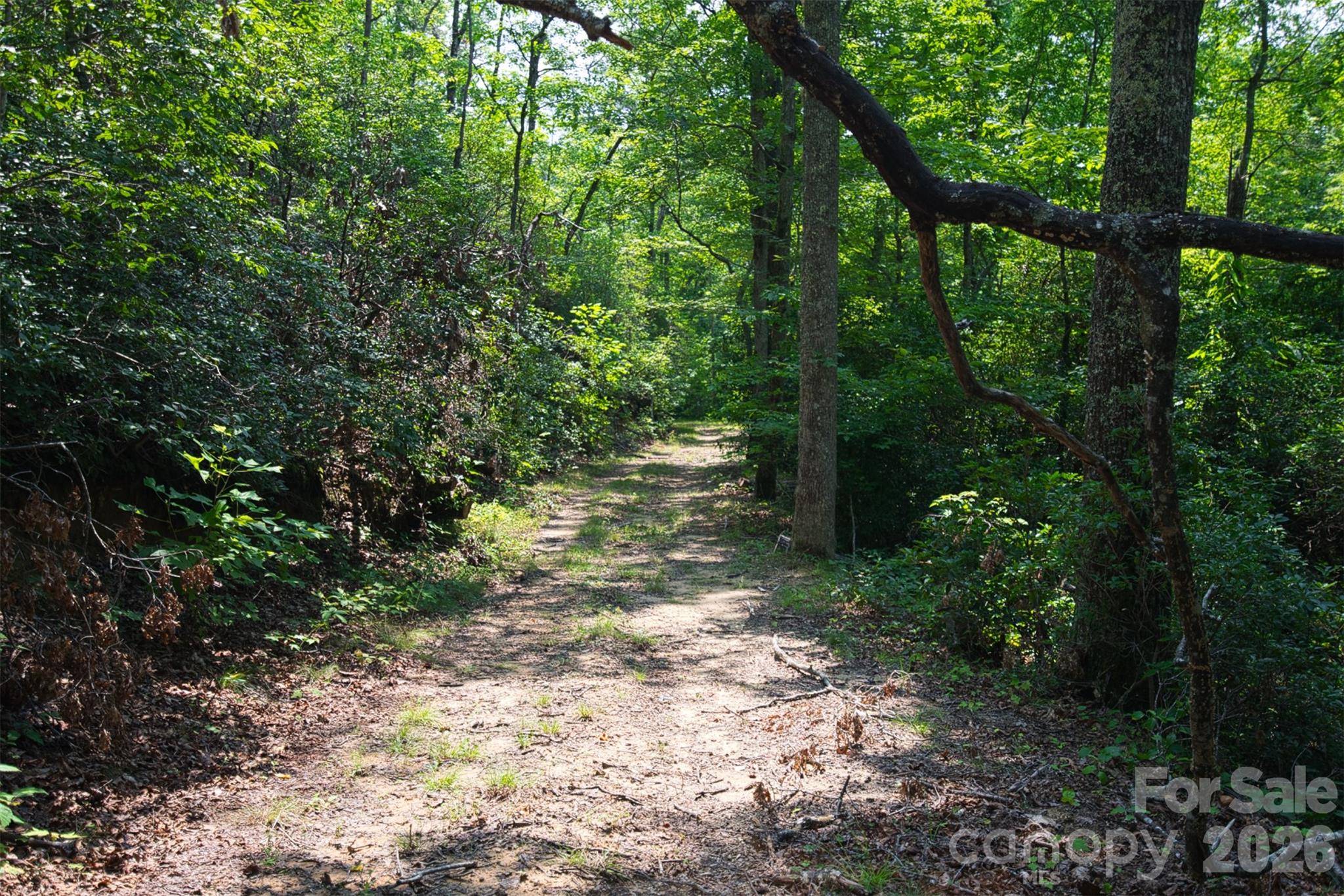 35 Lower Sand Branch Road Property Photo 32