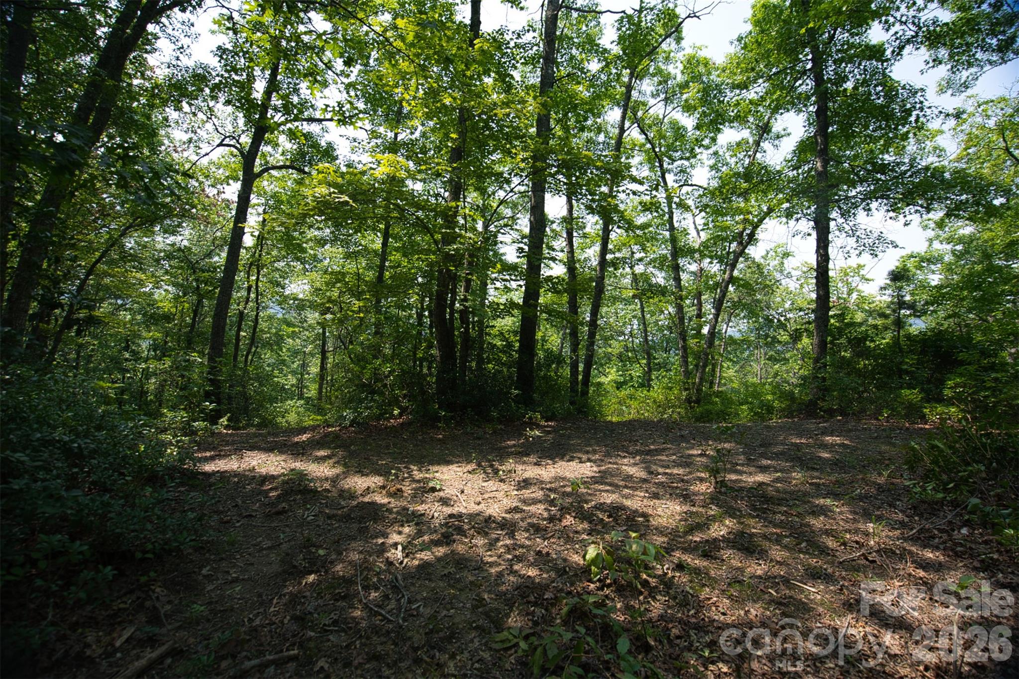 35 Lower Sand Branch Road Property Photo 33