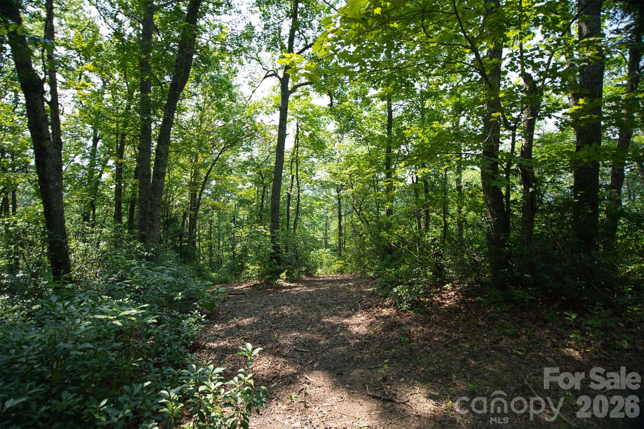35 Lower Sand Branch Road Property Photo 34