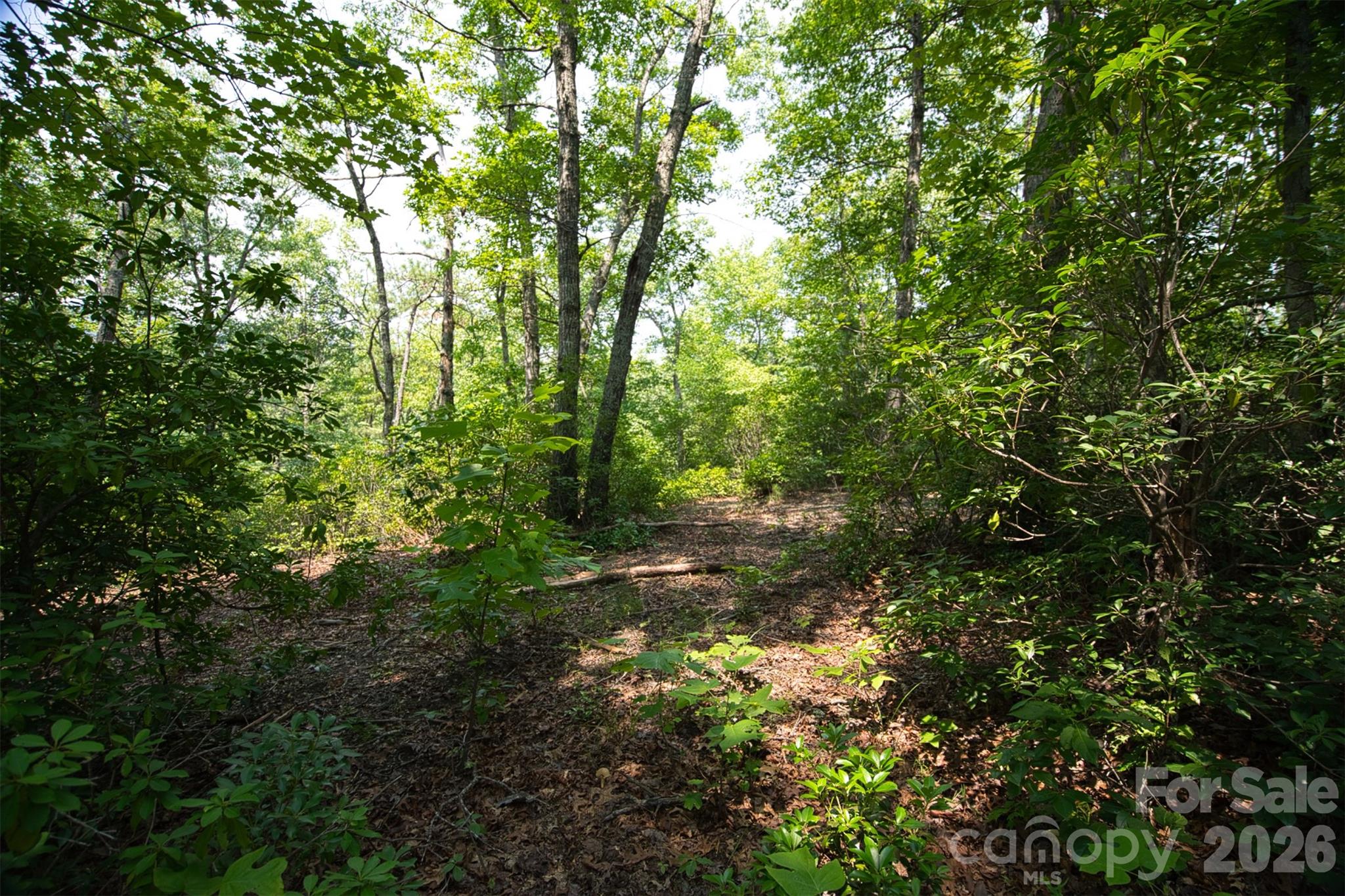 35 Lower Sand Branch Road Property Photo 35