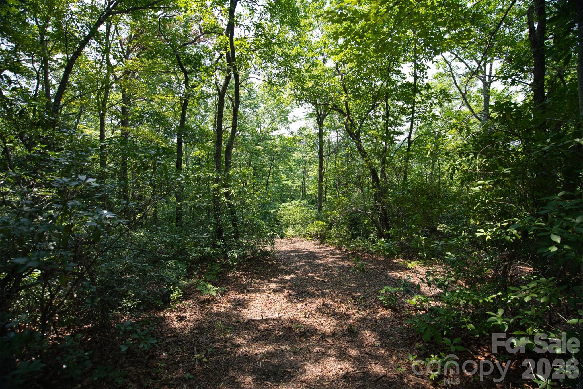 35 Lower Sand Branch Road Property Photo 36