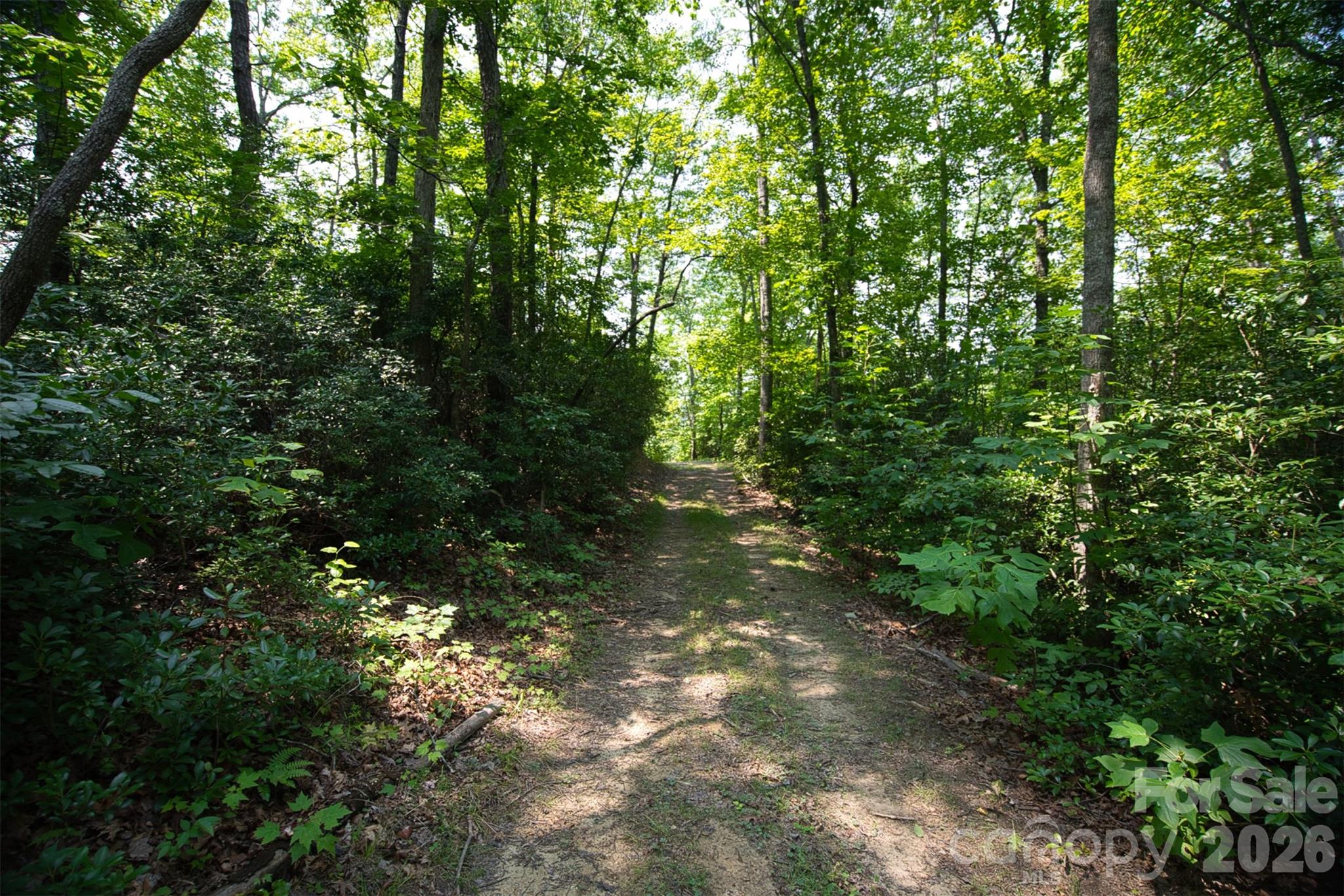 35 Lower Sand Branch Road Property Photo 37