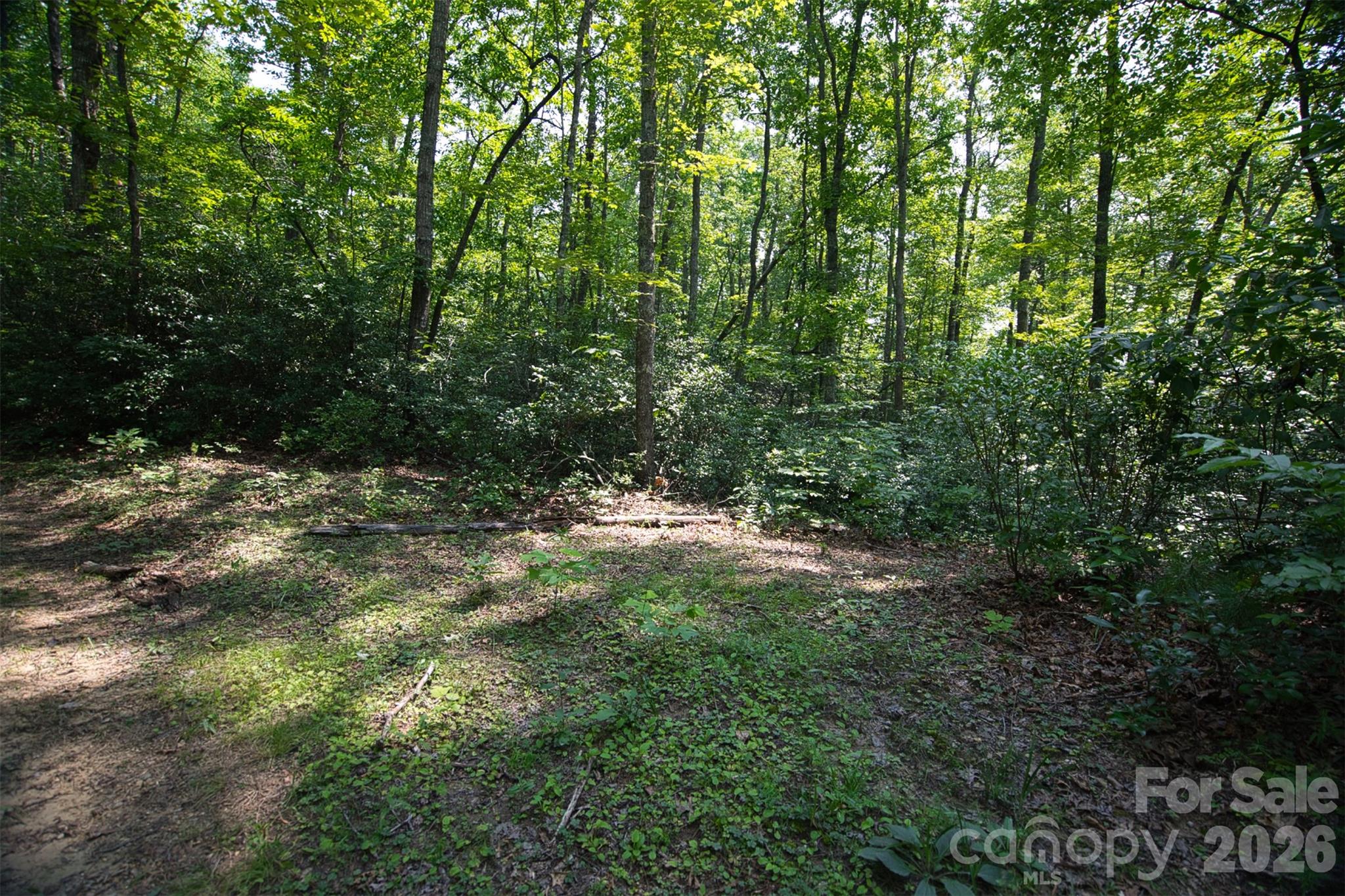35 Lower Sand Branch Road Property Photo 38