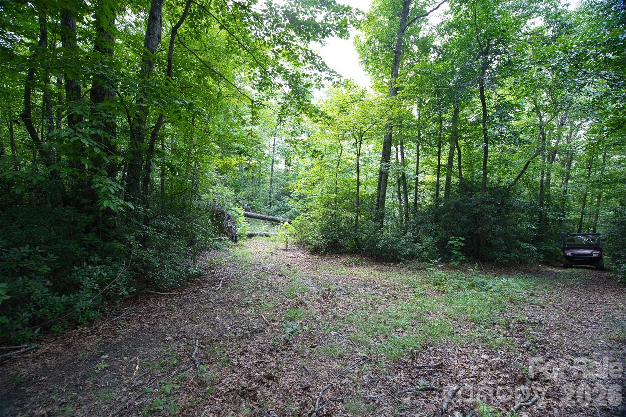 35 Lower Sand Branch Road Property Photo 39