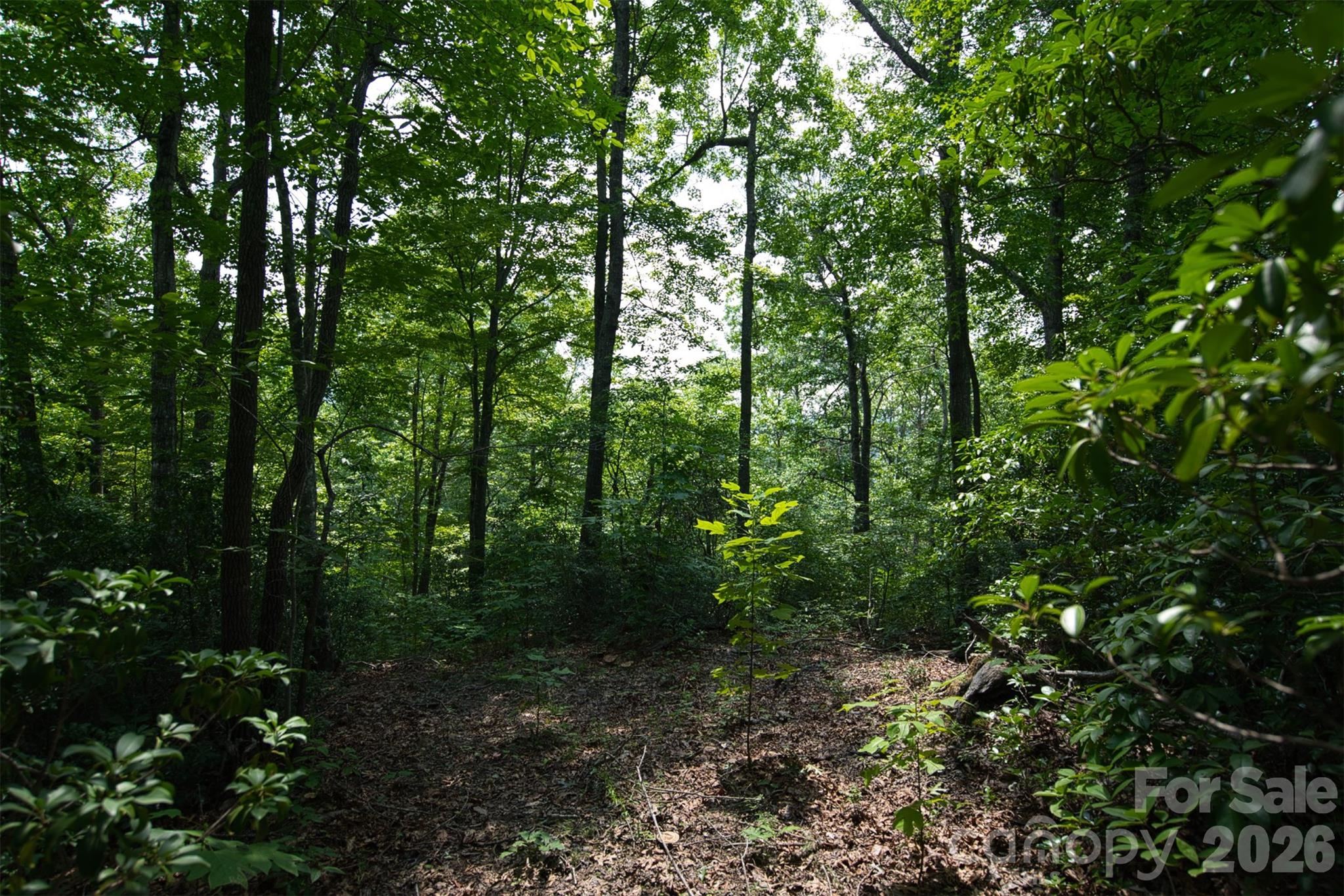 35 Lower Sand Branch Road Property Photo 40