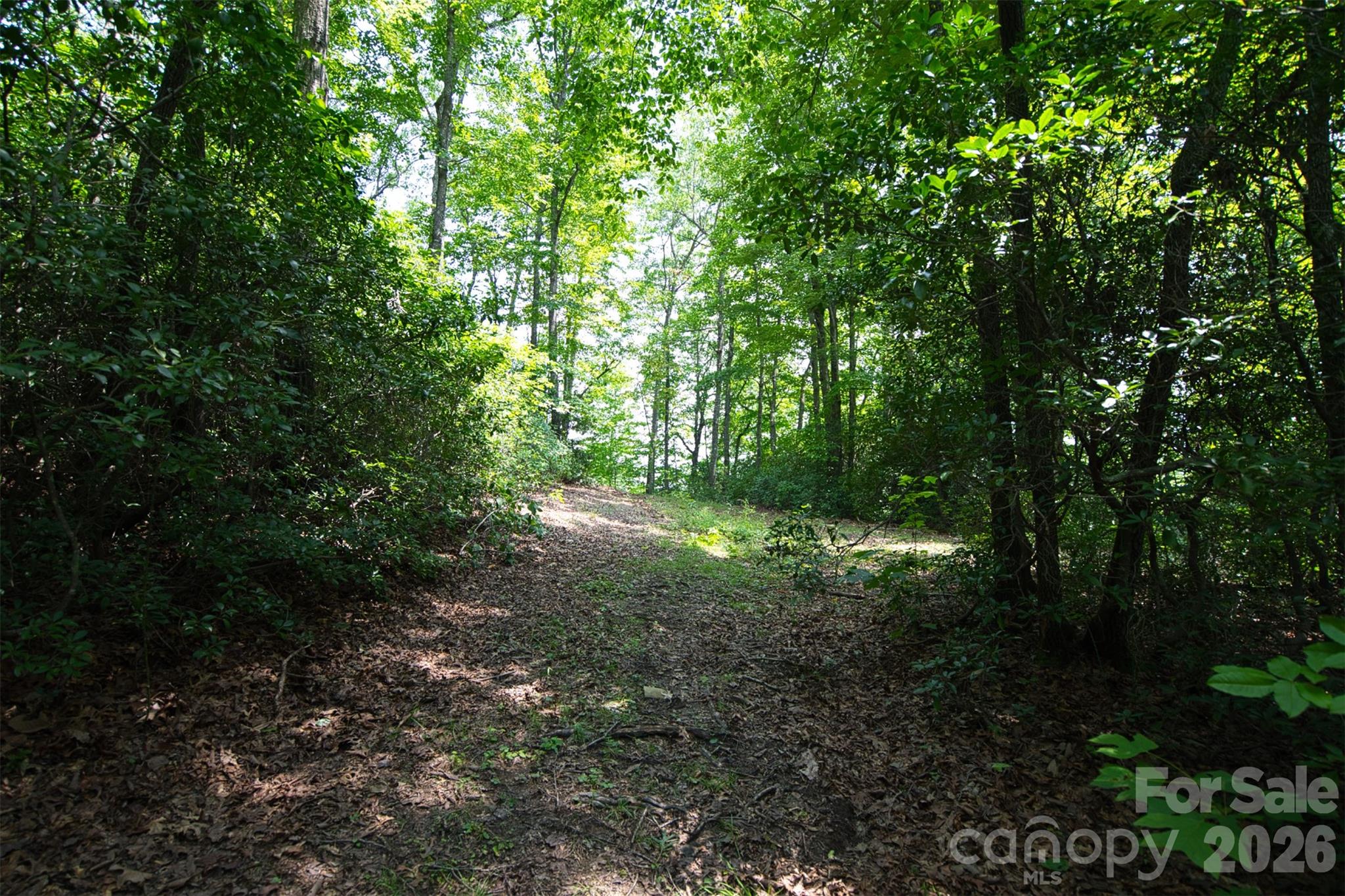 35 Lower Sand Branch Road Property Photo 41