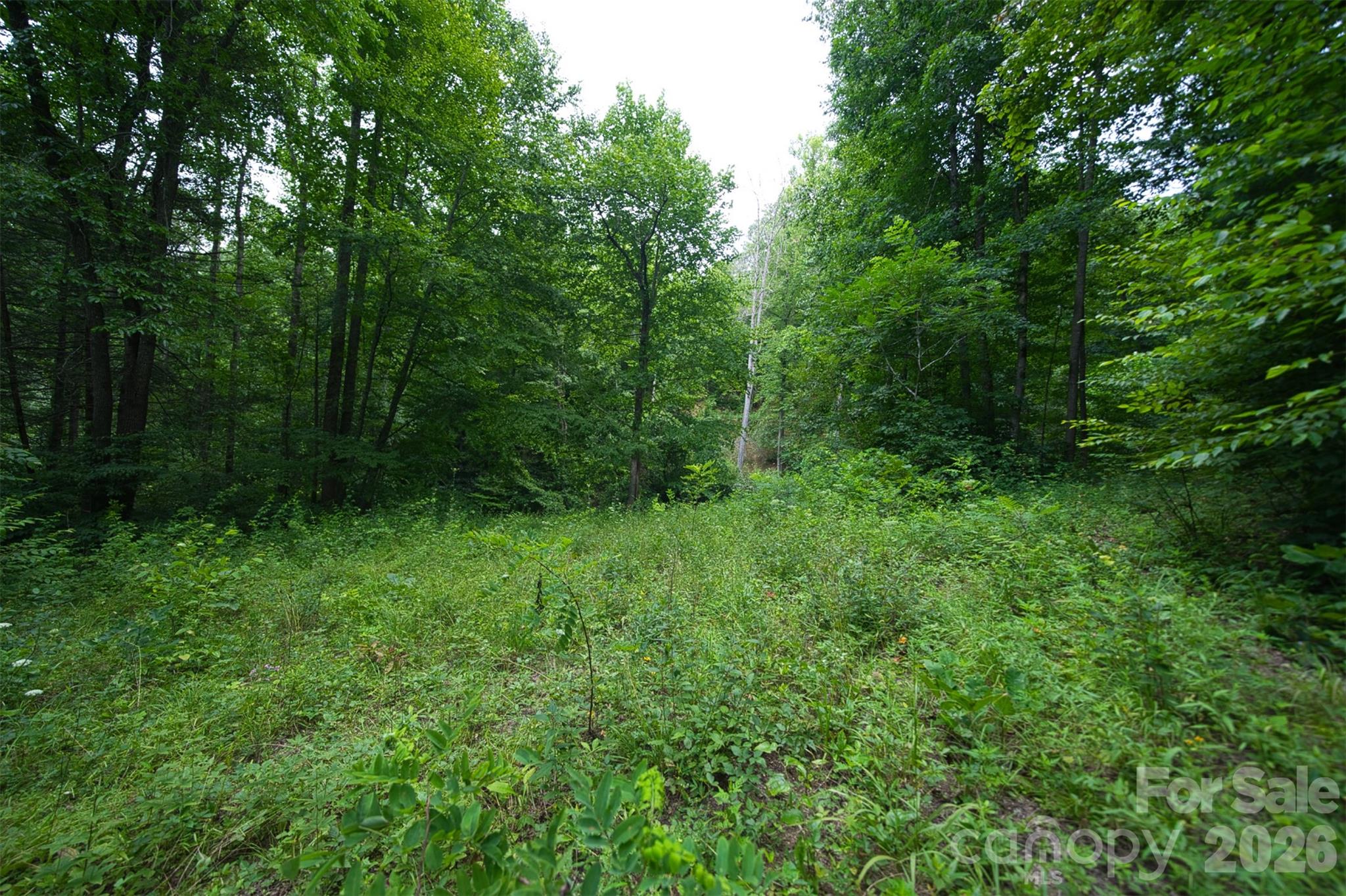 35 Lower Sand Branch Road Property Photo 42