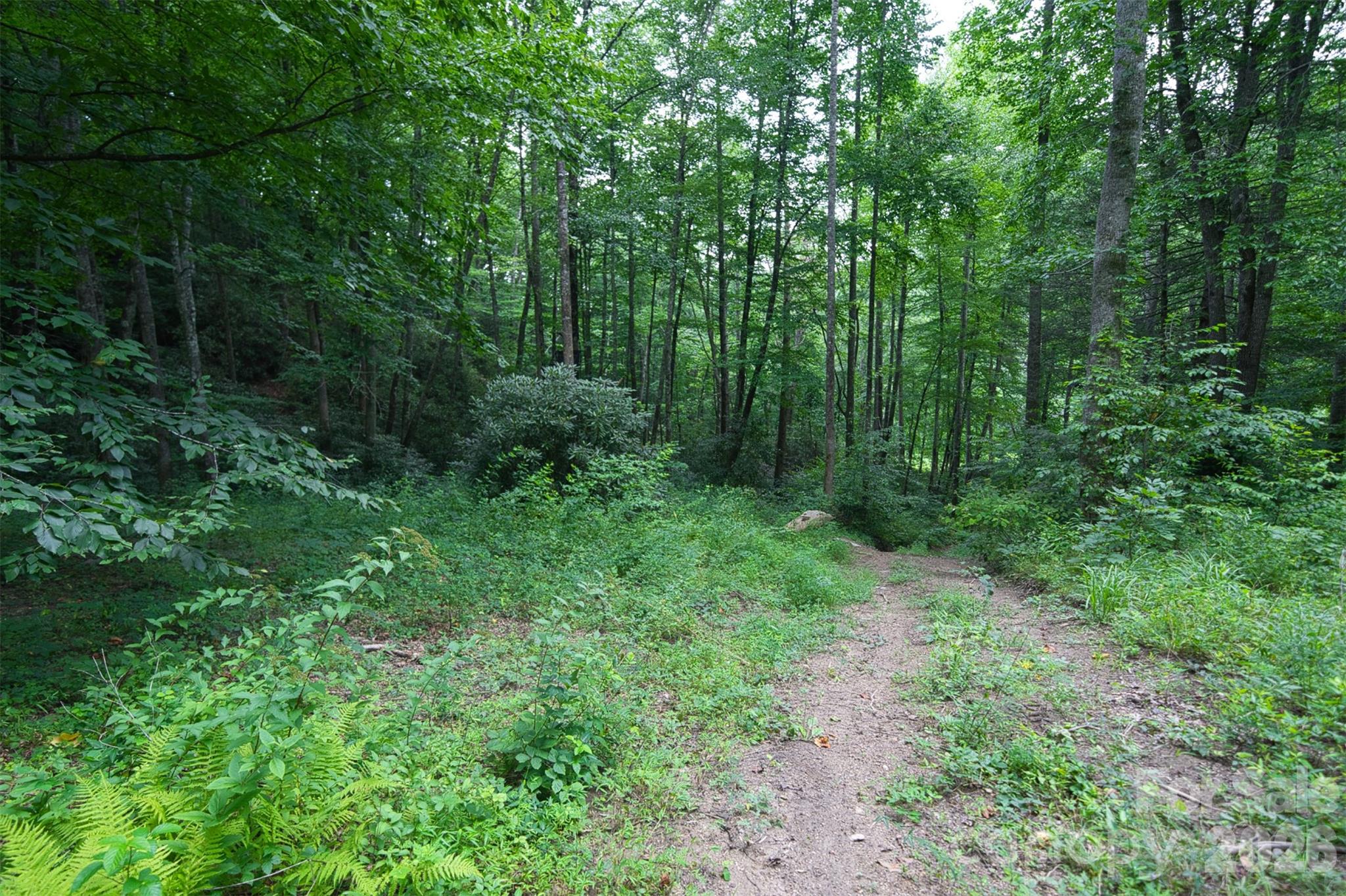 35 Lower Sand Branch Road Property Photo 43