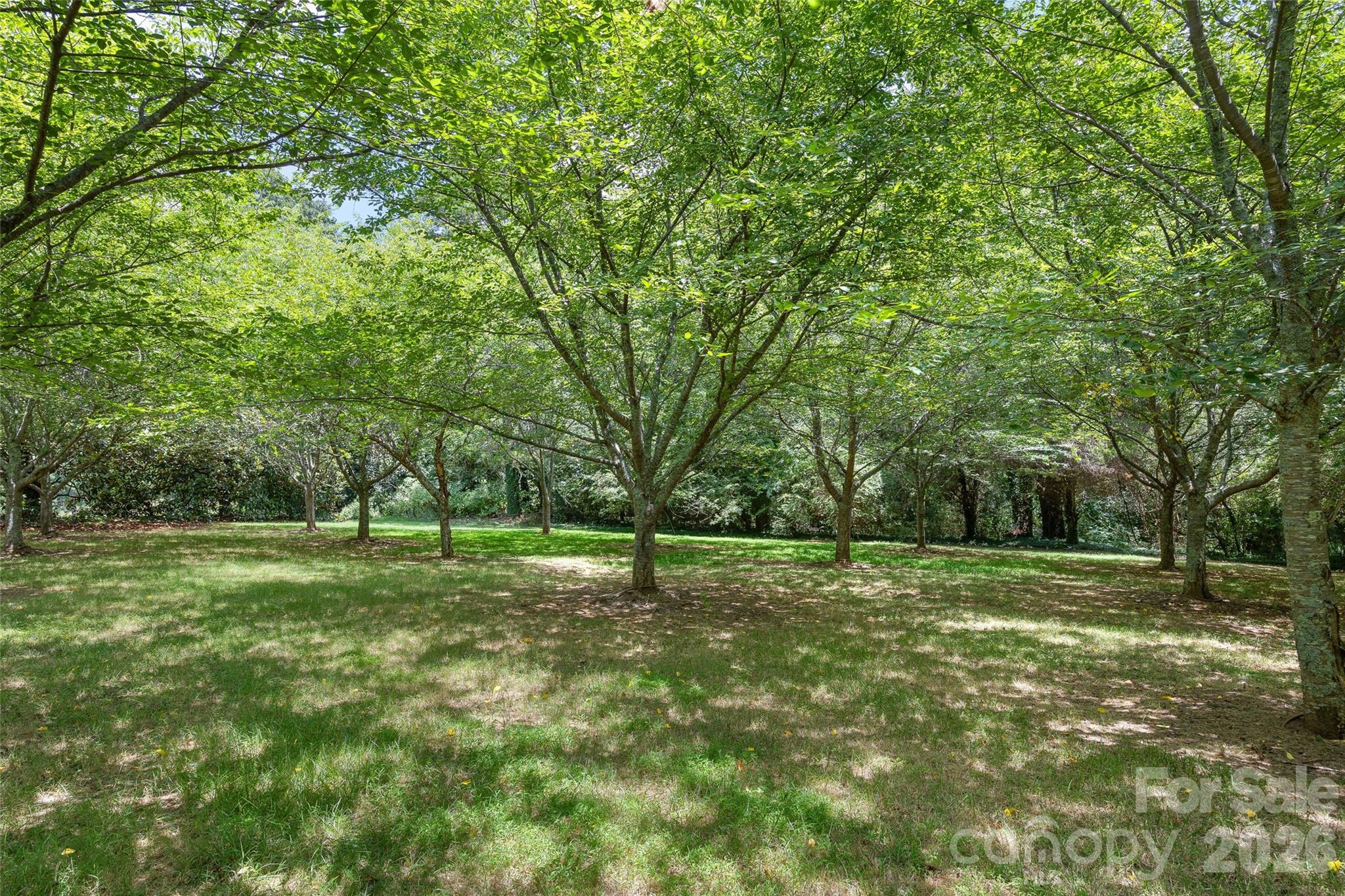 832 Wren Road Property Photo 42