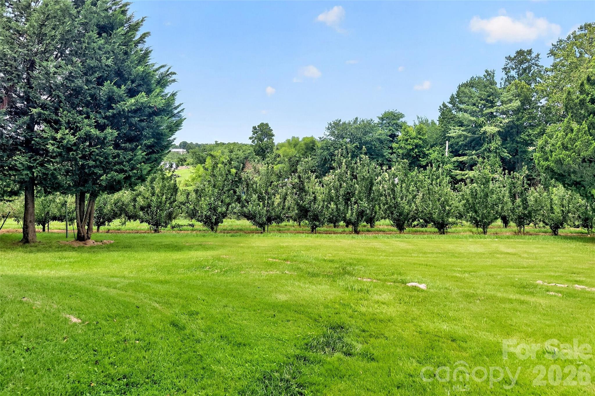 26 Sweet Briar Path Way Property Photo 5