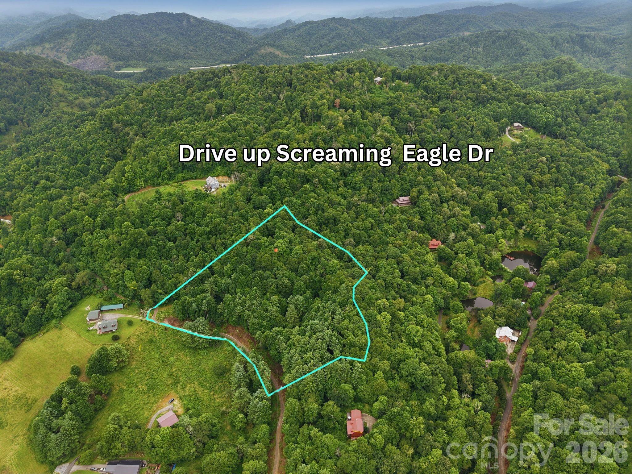 220 Screaming Eagle Drive Property Photo 2