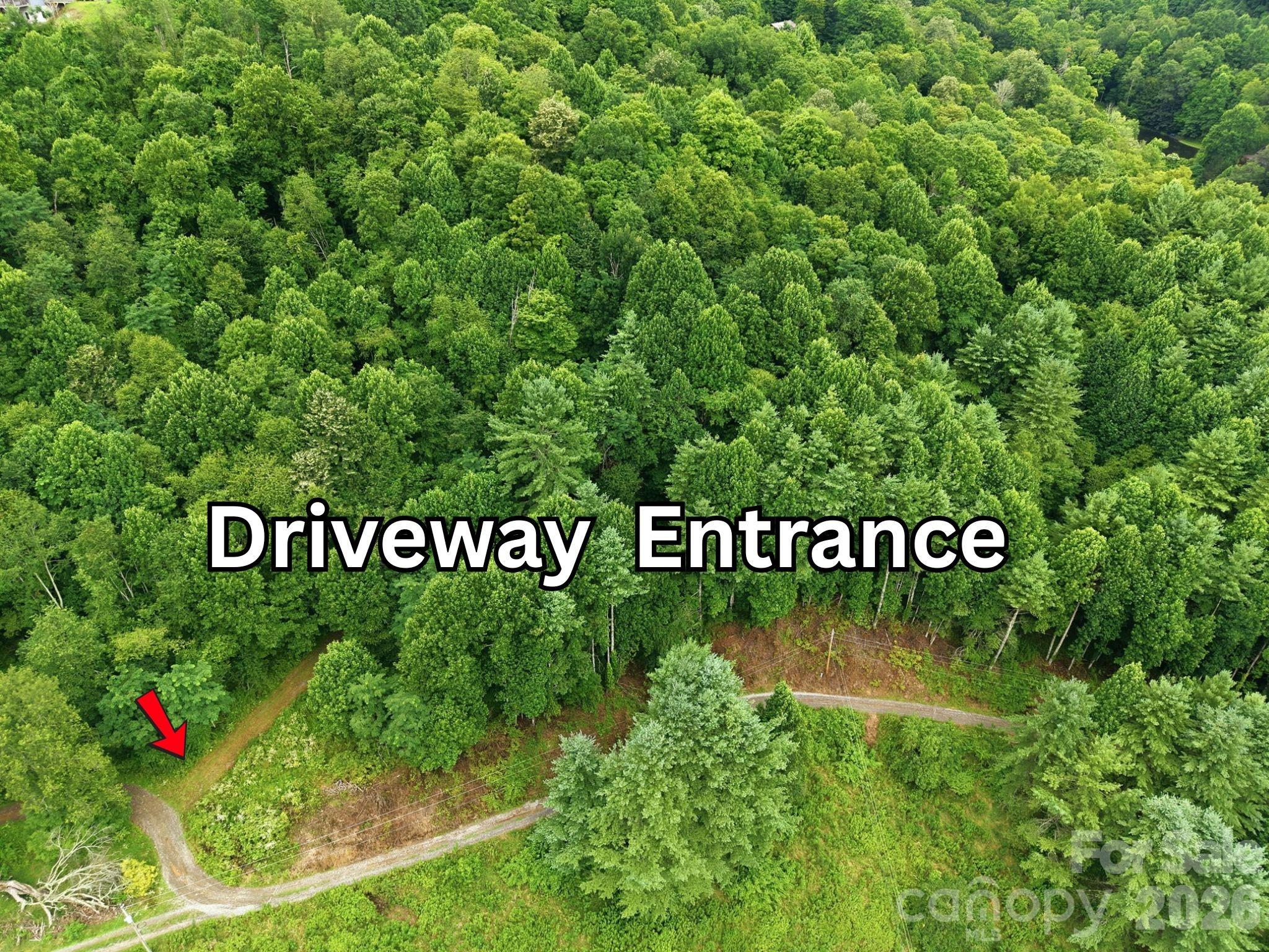 220 Screaming Eagle Drive Property Photo 3
