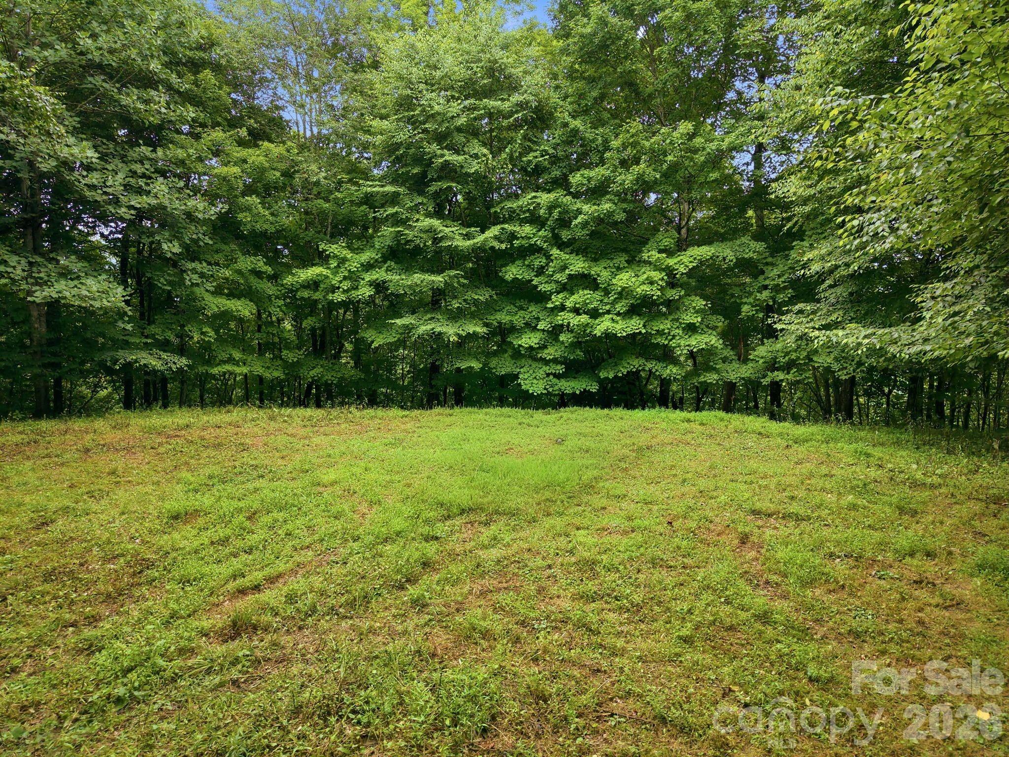 220 Screaming Eagle Drive Property Photo 11