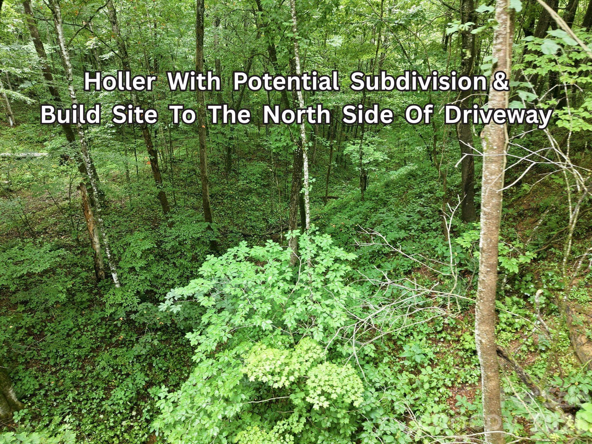 220 Screaming Eagle Drive Property Photo 12