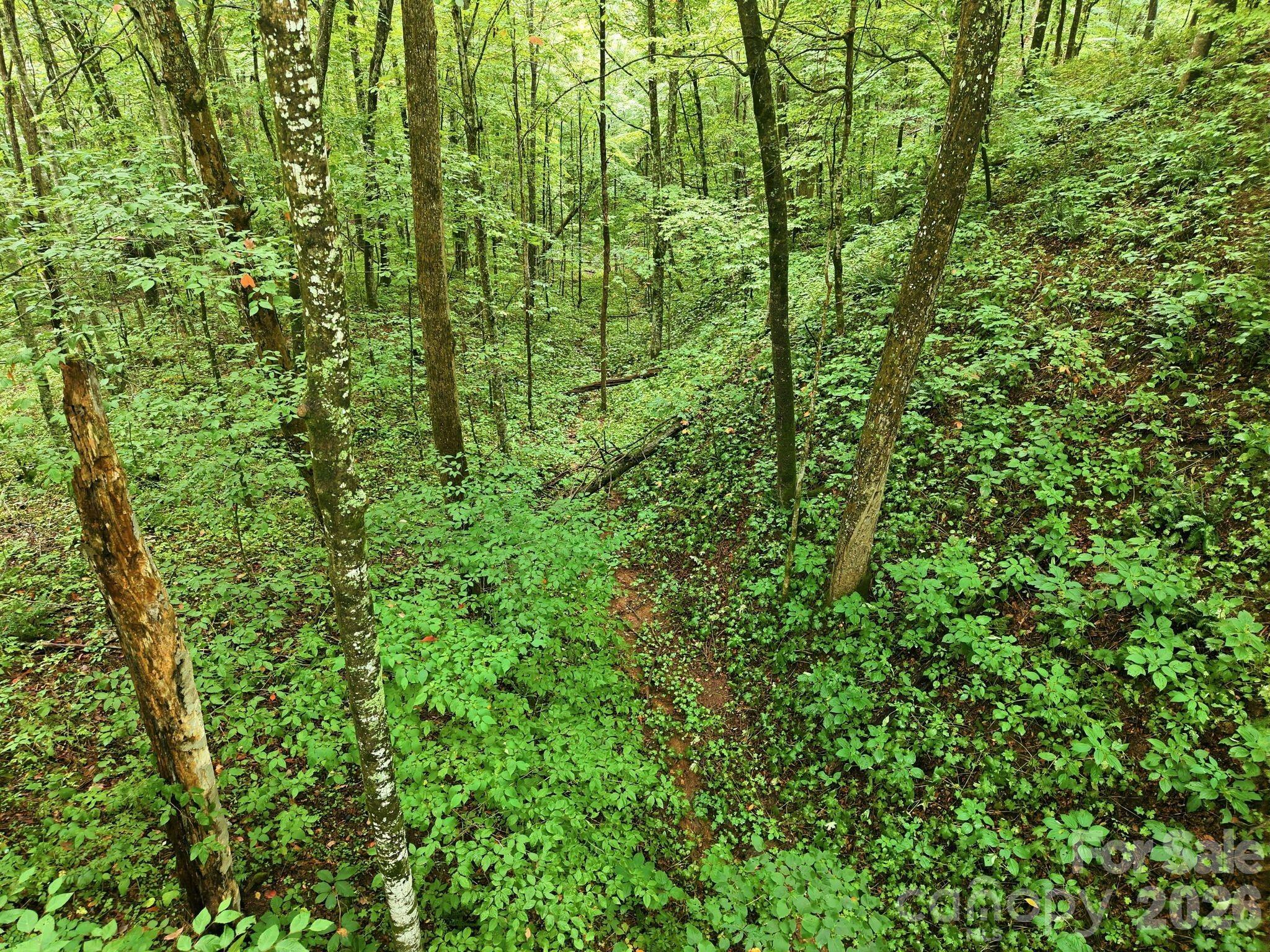 220 Screaming Eagle Drive Property Photo 13